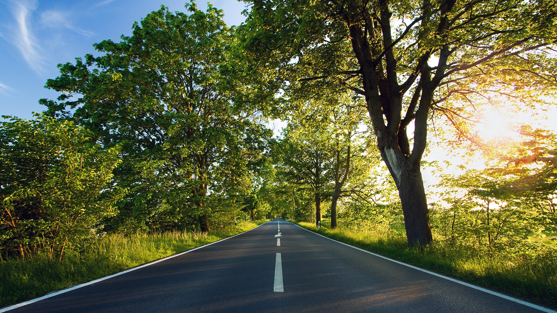An asphalt road in the forest with sunlight filtering through the foliage.