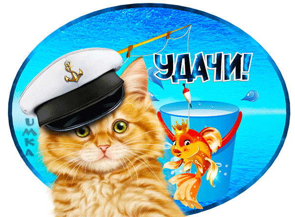 主题为猫 金鱼 好运的明信片免费下载