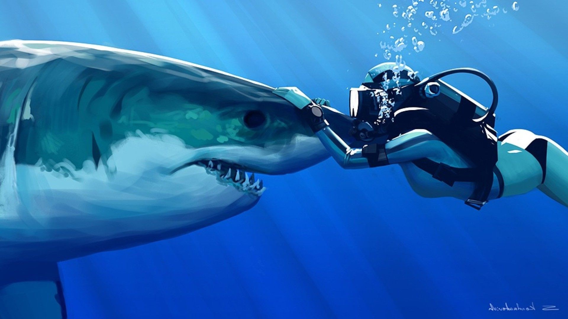 Бесплатное фото Знакомство с акулой
