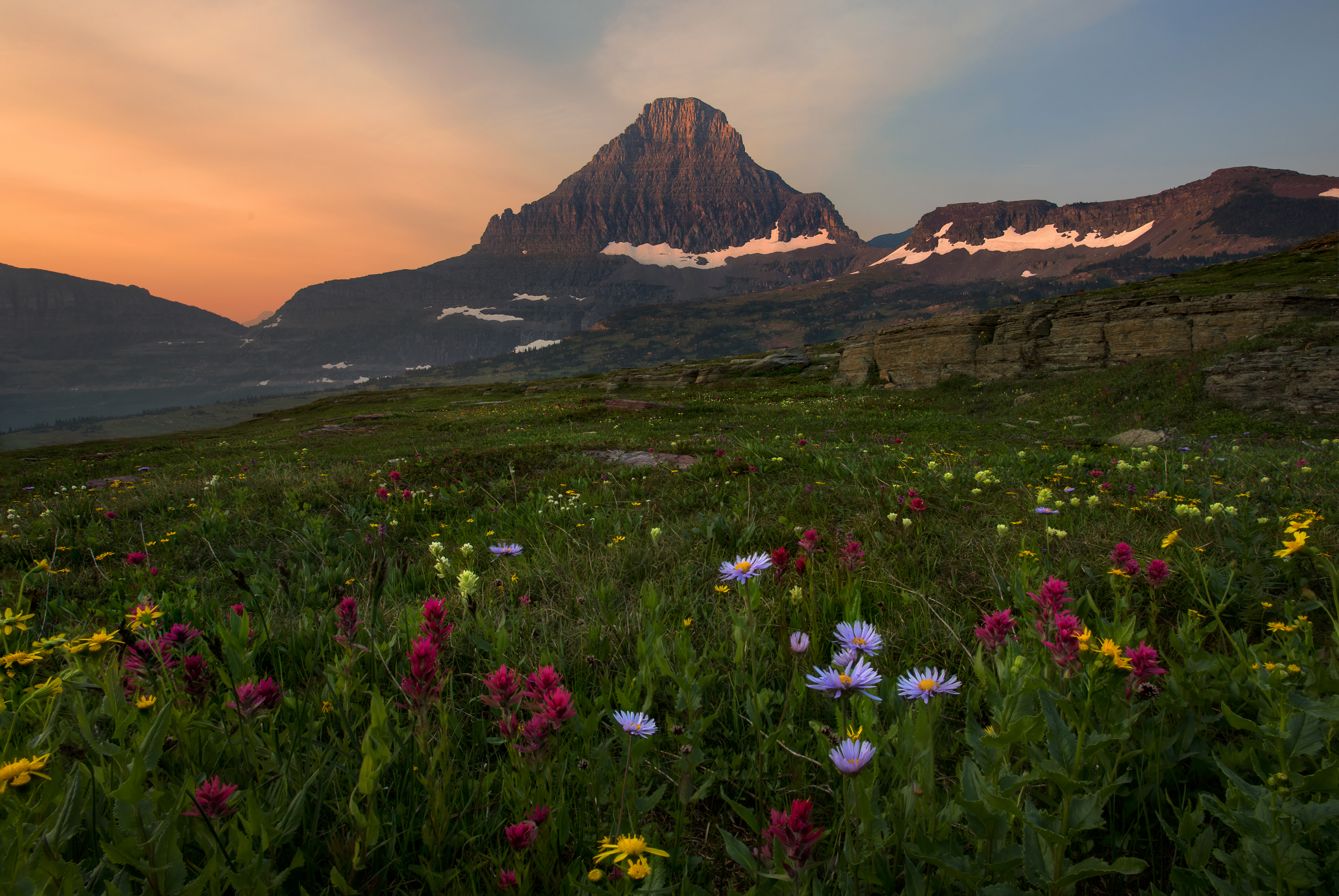 Free photo Wildflowers foothills