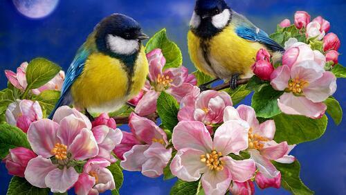 Бесплатное фото птицы на ветке