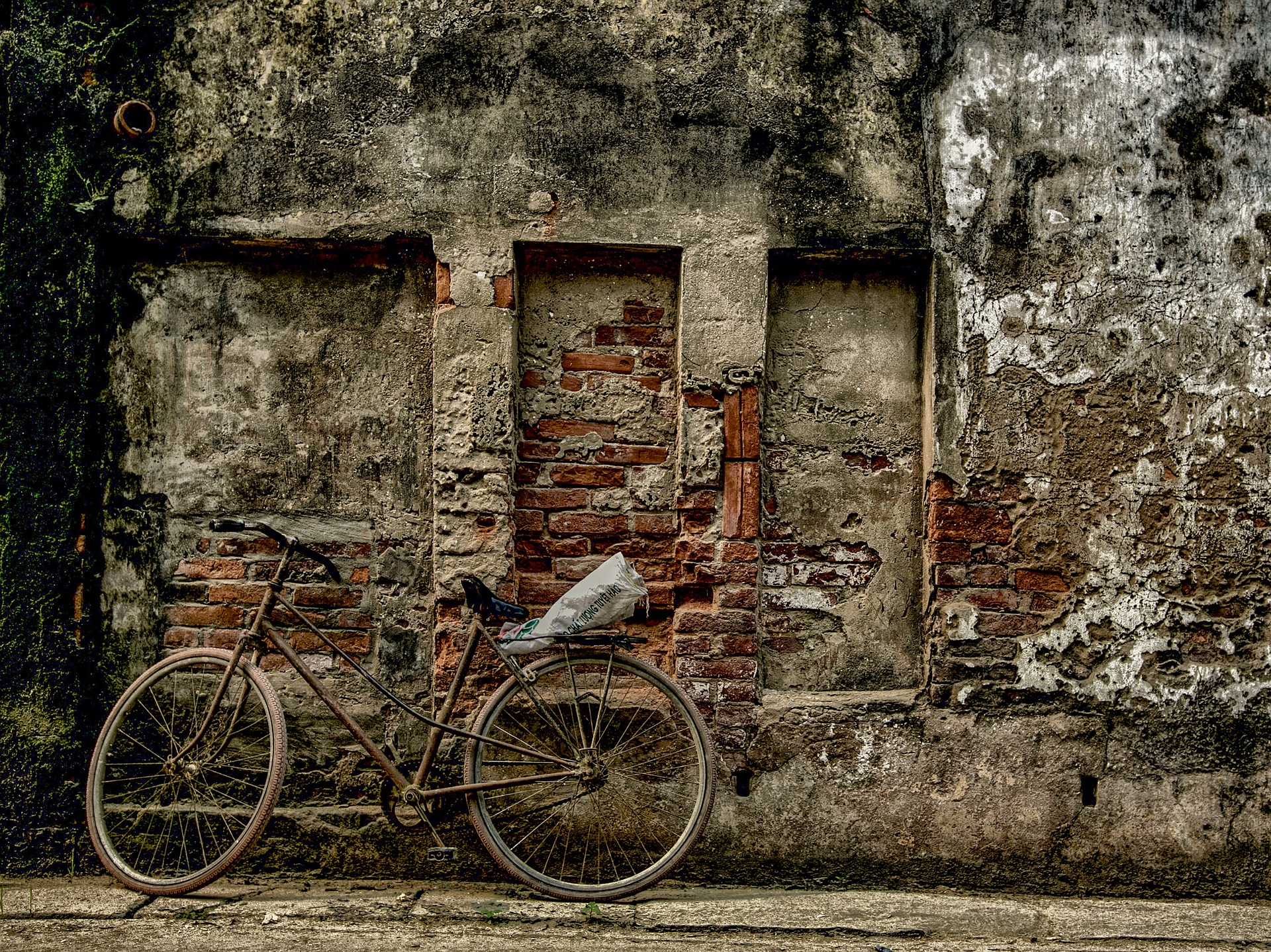 Wallpapers wall bicycle tree on the desktop