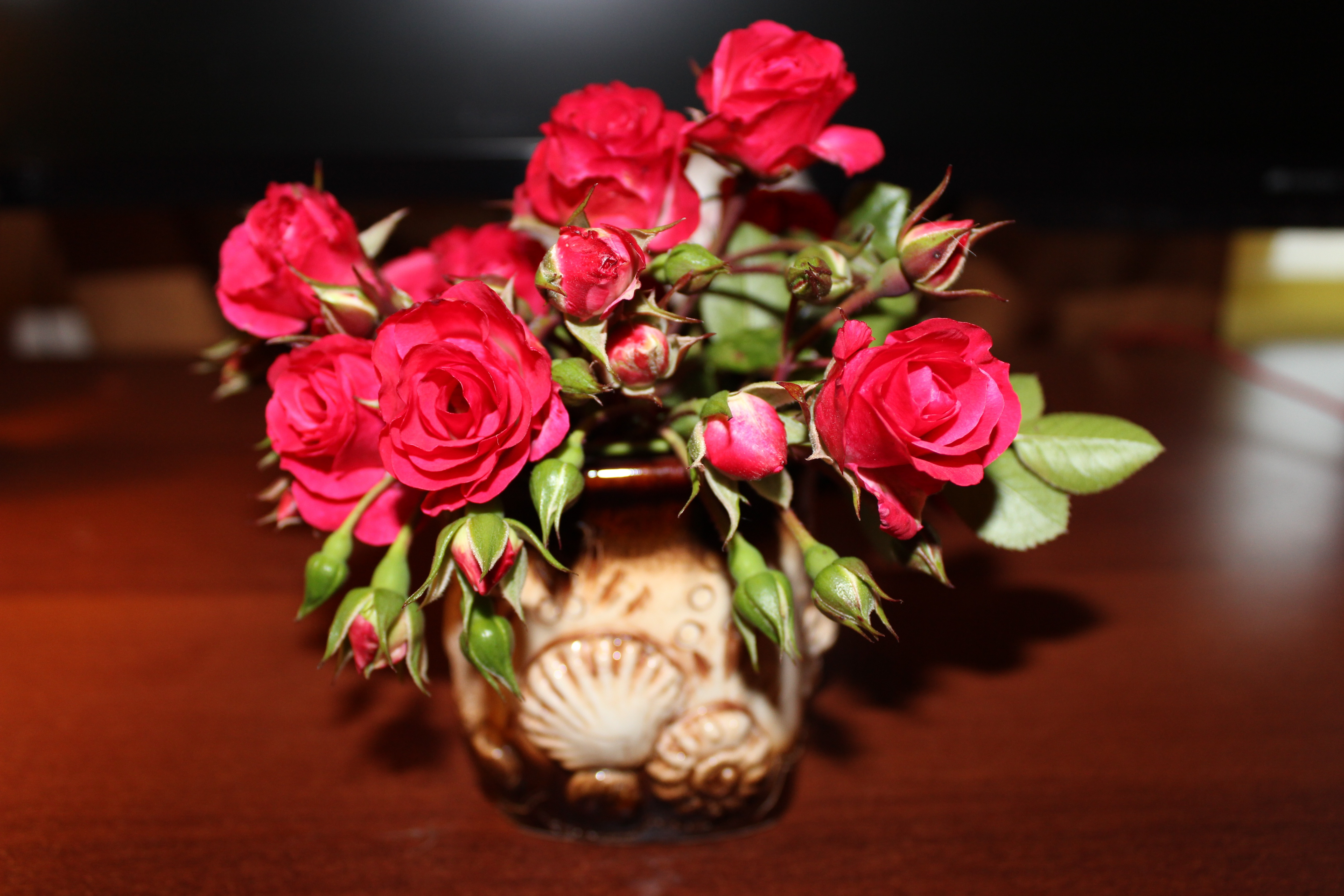 Little red rosebuds