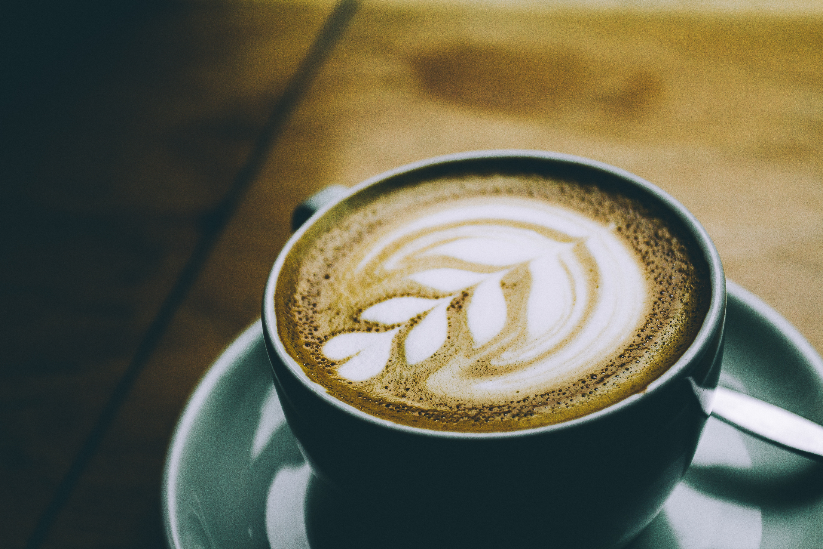 Free photo White flower on a hot latte foam