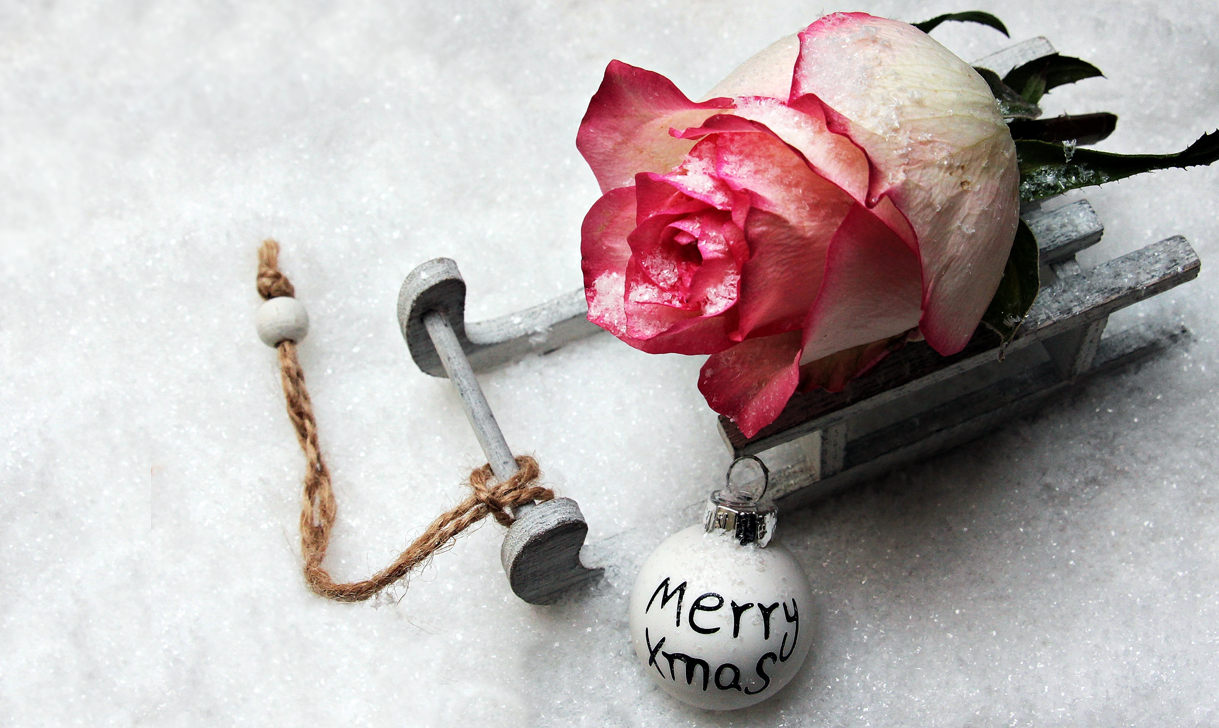 Free photo A lone rose lies on the sleigh