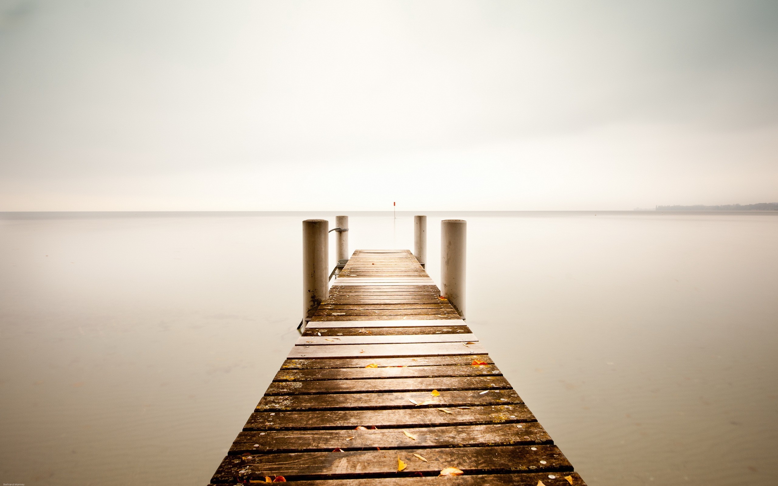 Your likes collection