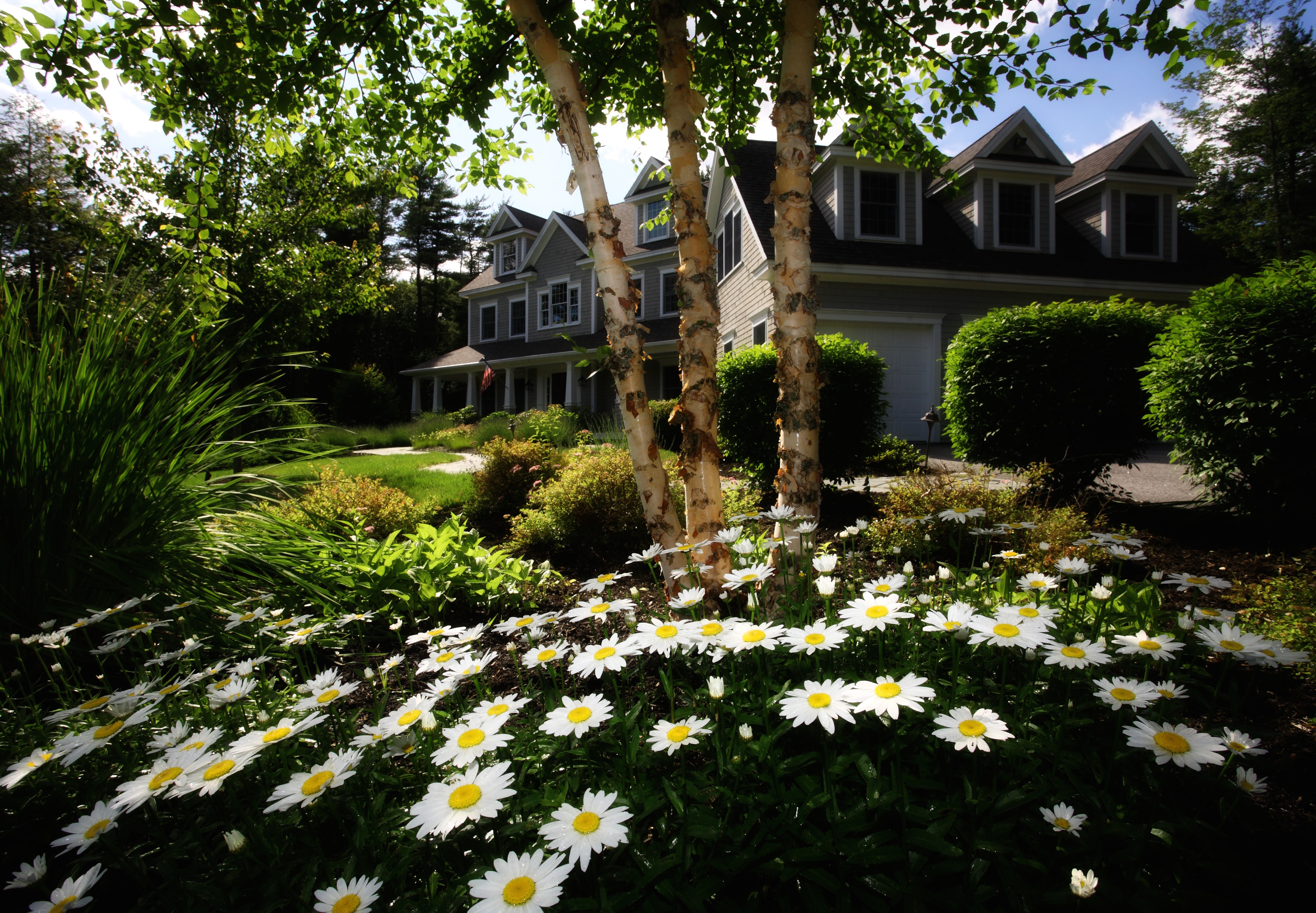 Free photo Flowerbeds of flowers at the country house