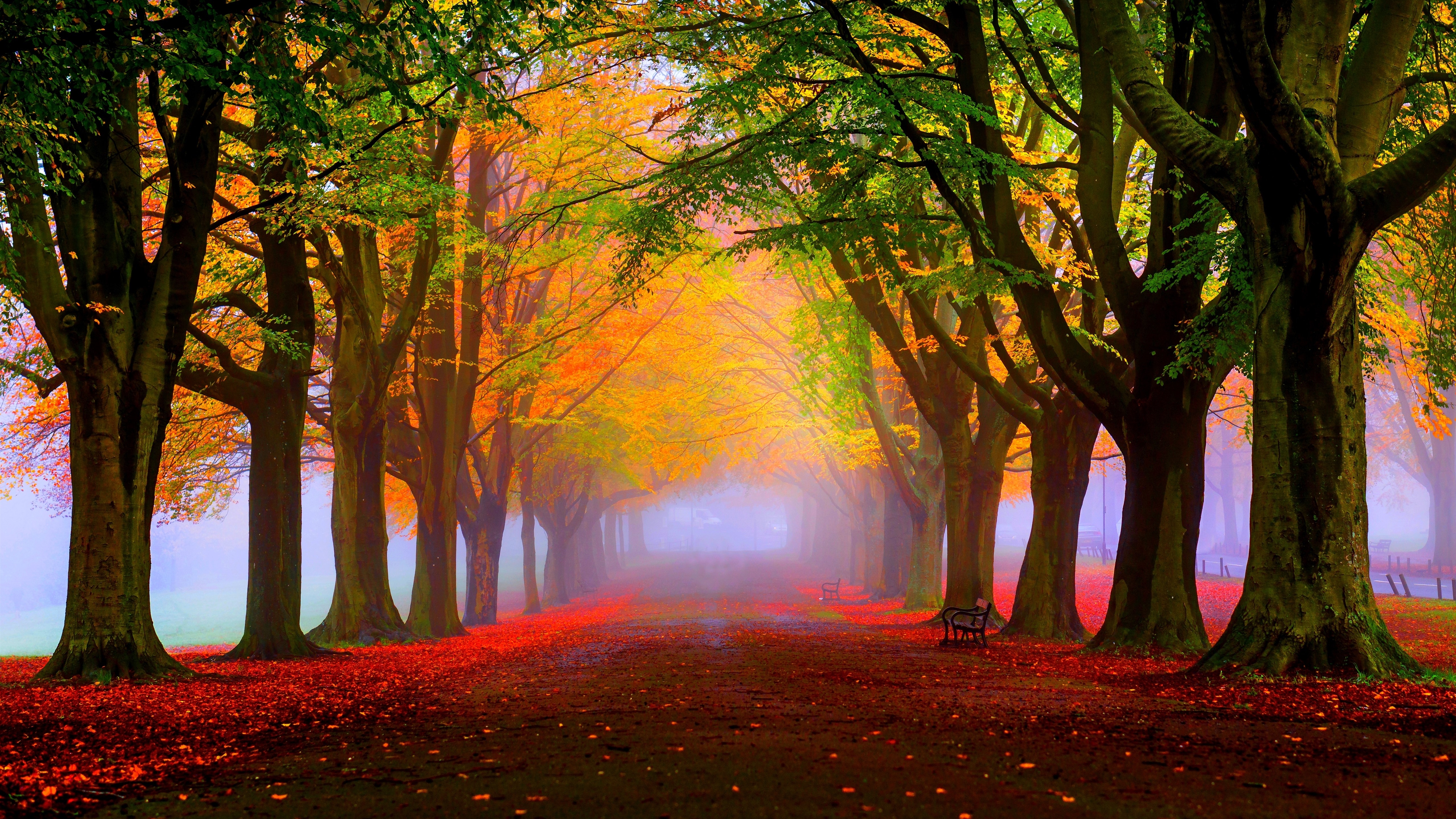 Бесплатное фото Красочный осенний парк с листопадом