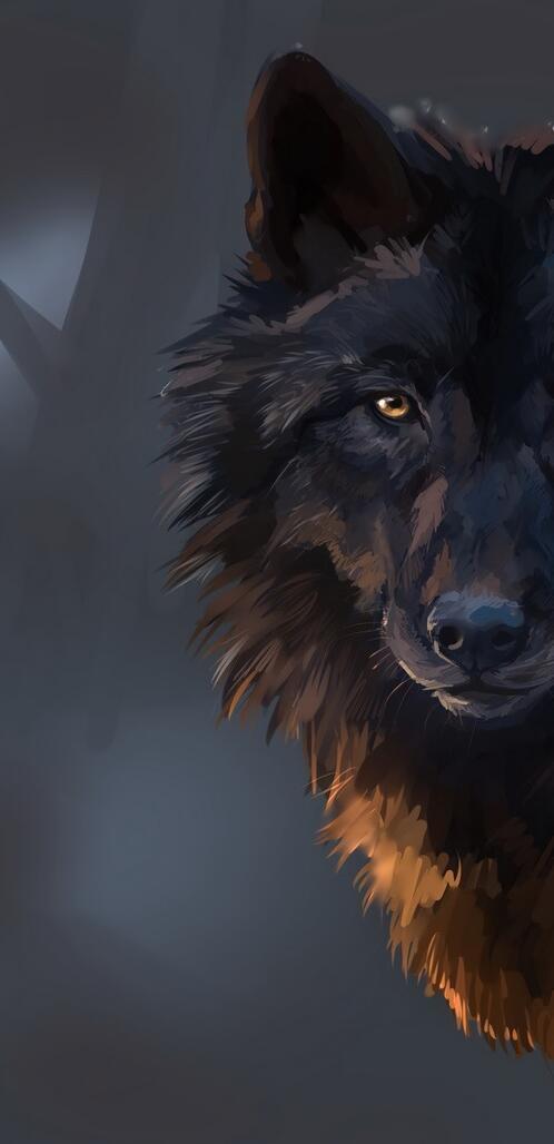 Обои волк черный рисунок на рабочий стол