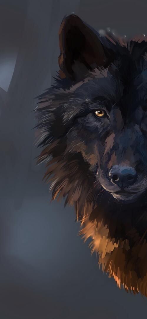 Обои волк черный рисунок на рабочий стол