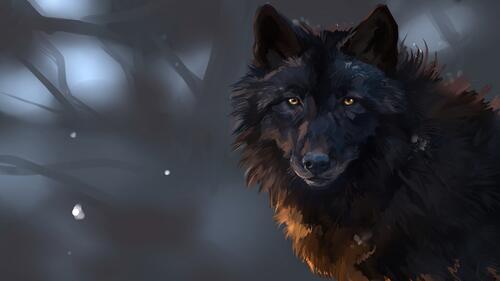 Обои волк черный рисунок на рабочий стол