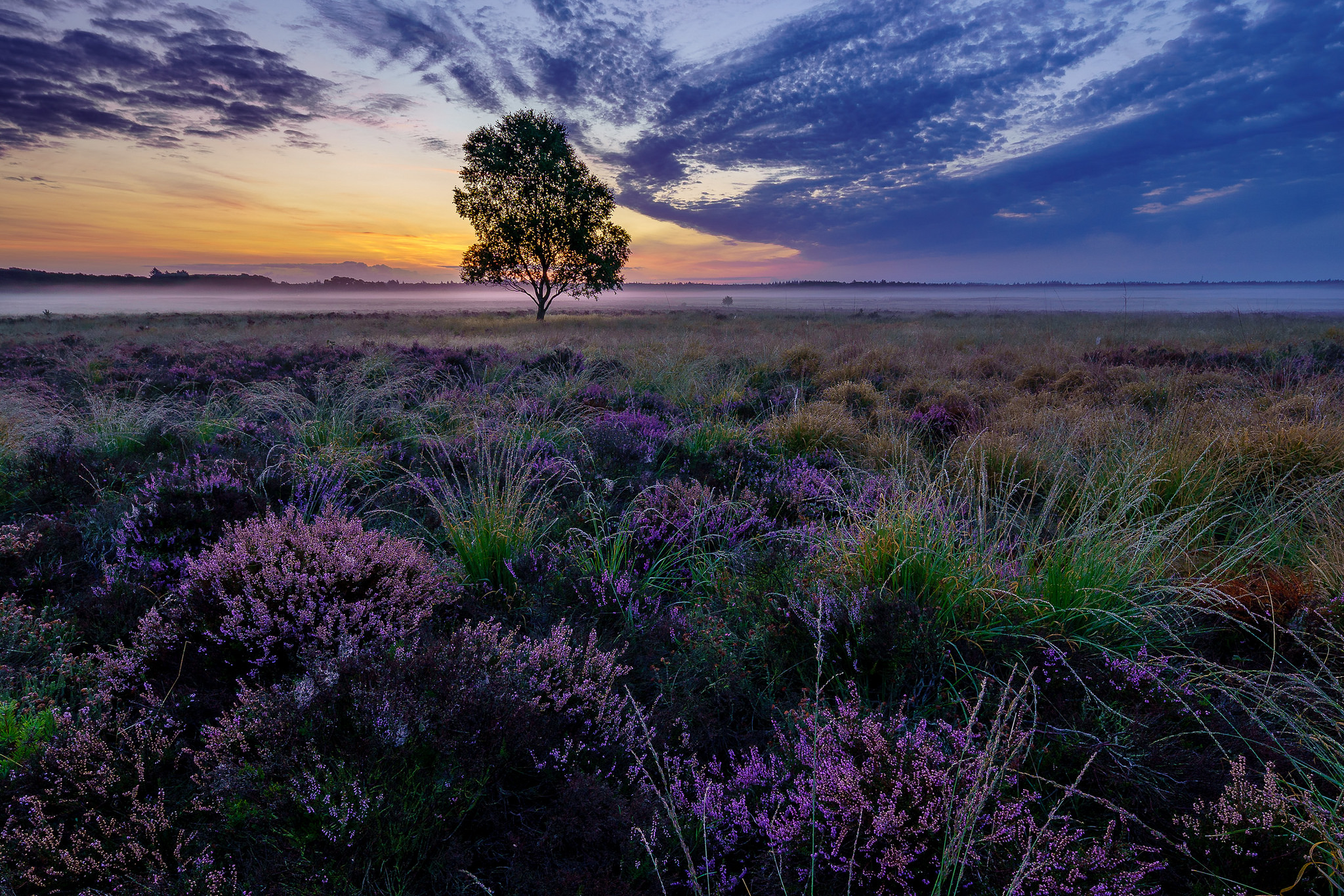 Wallpapers sky Gelderland nature on the desktop