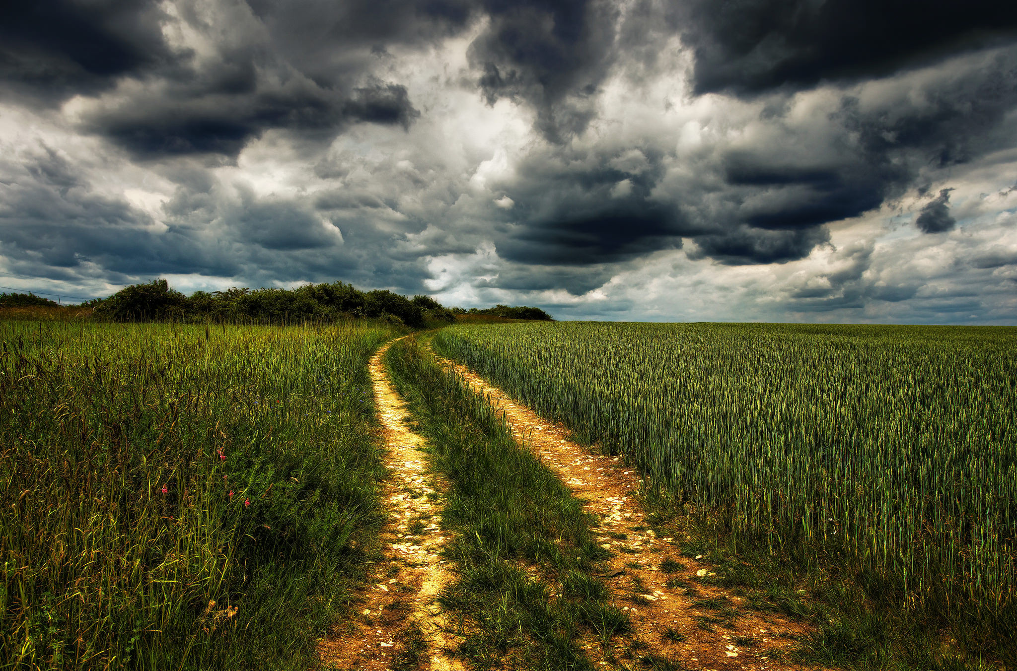 Free photo Saver the field, the road to the phone