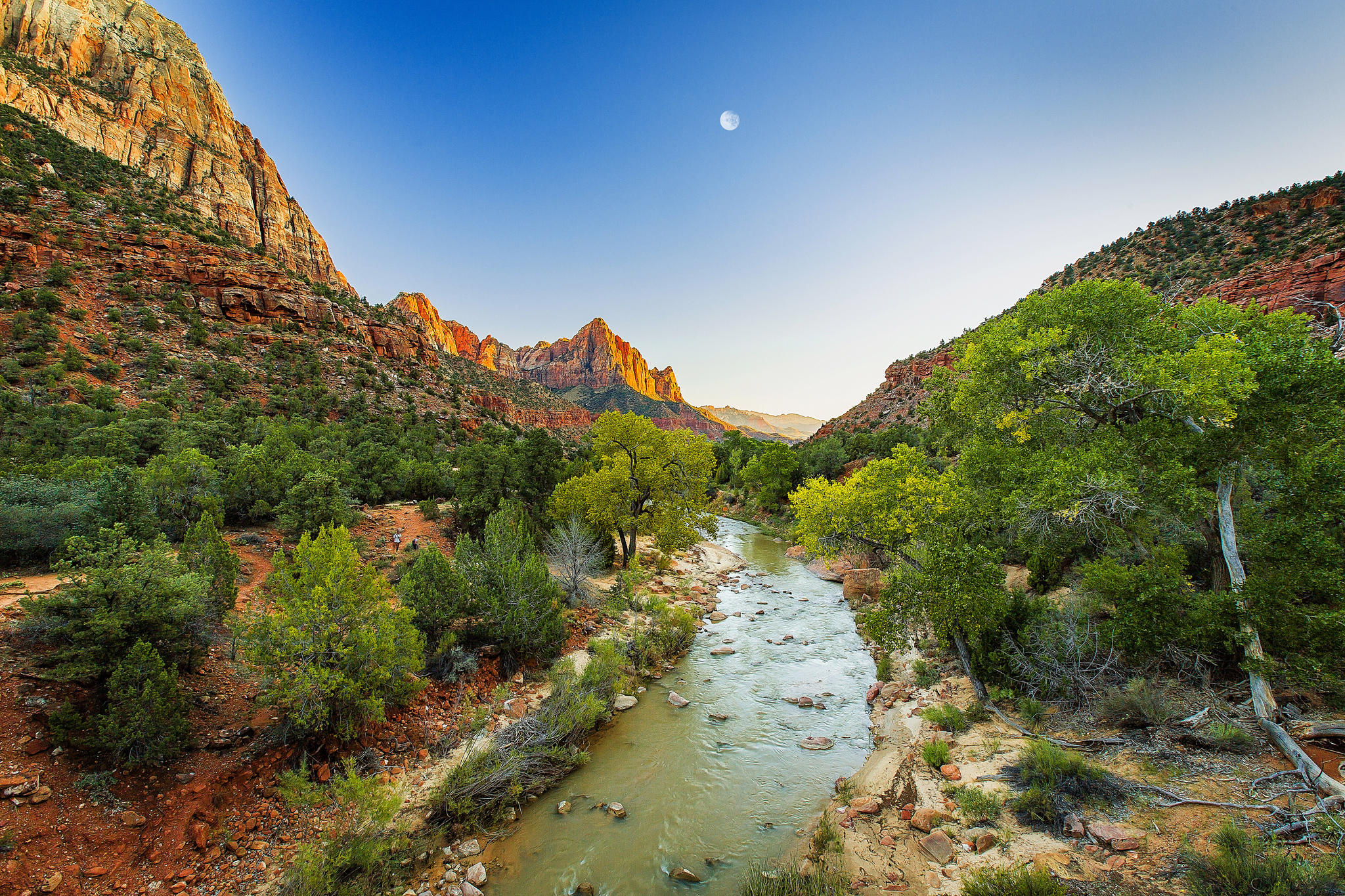 Обои пейзажи Zion National Park The Virgin River на рабочий стол