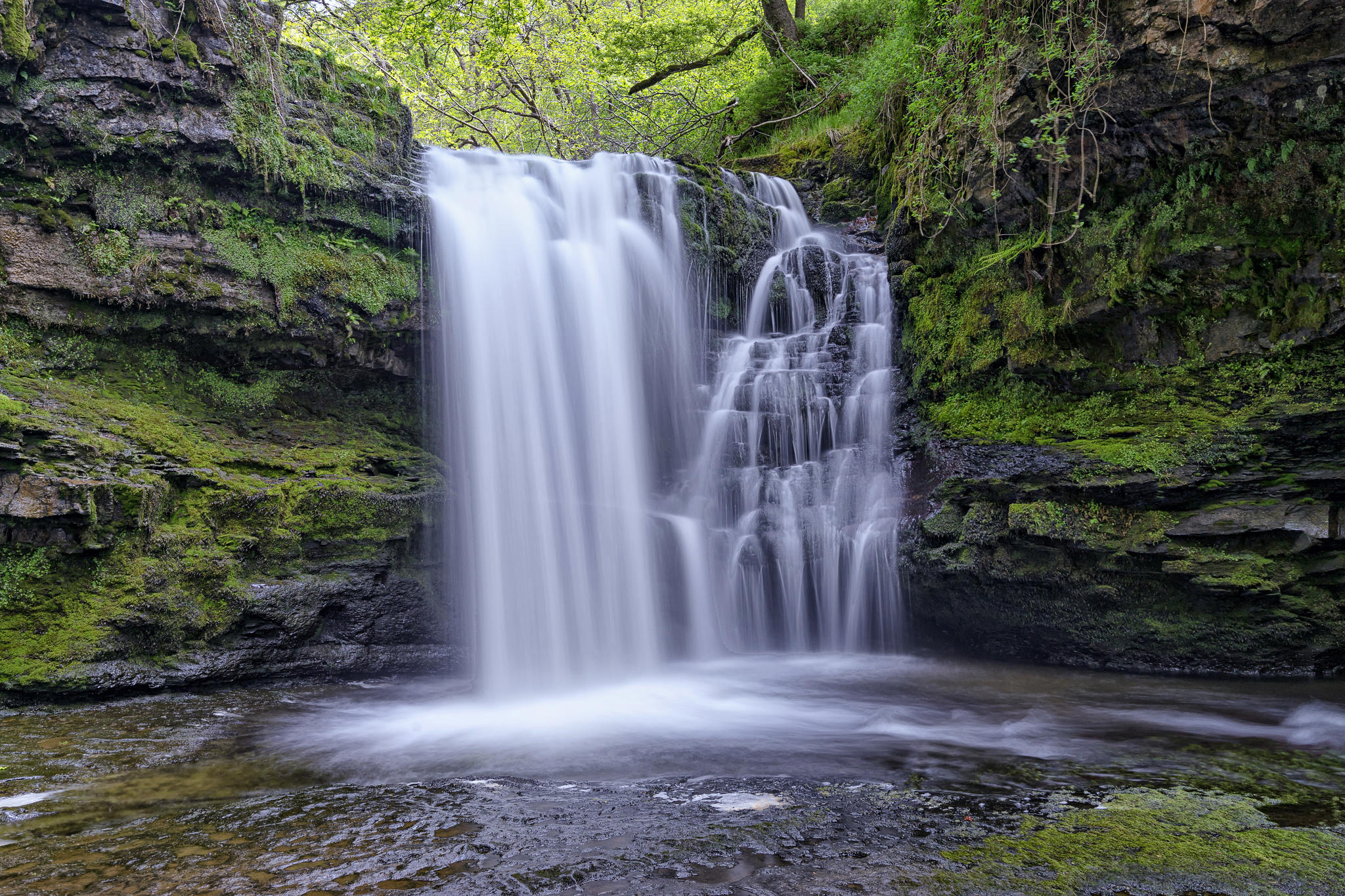 Wallpapers waterfall in the forest river nature on the desktop