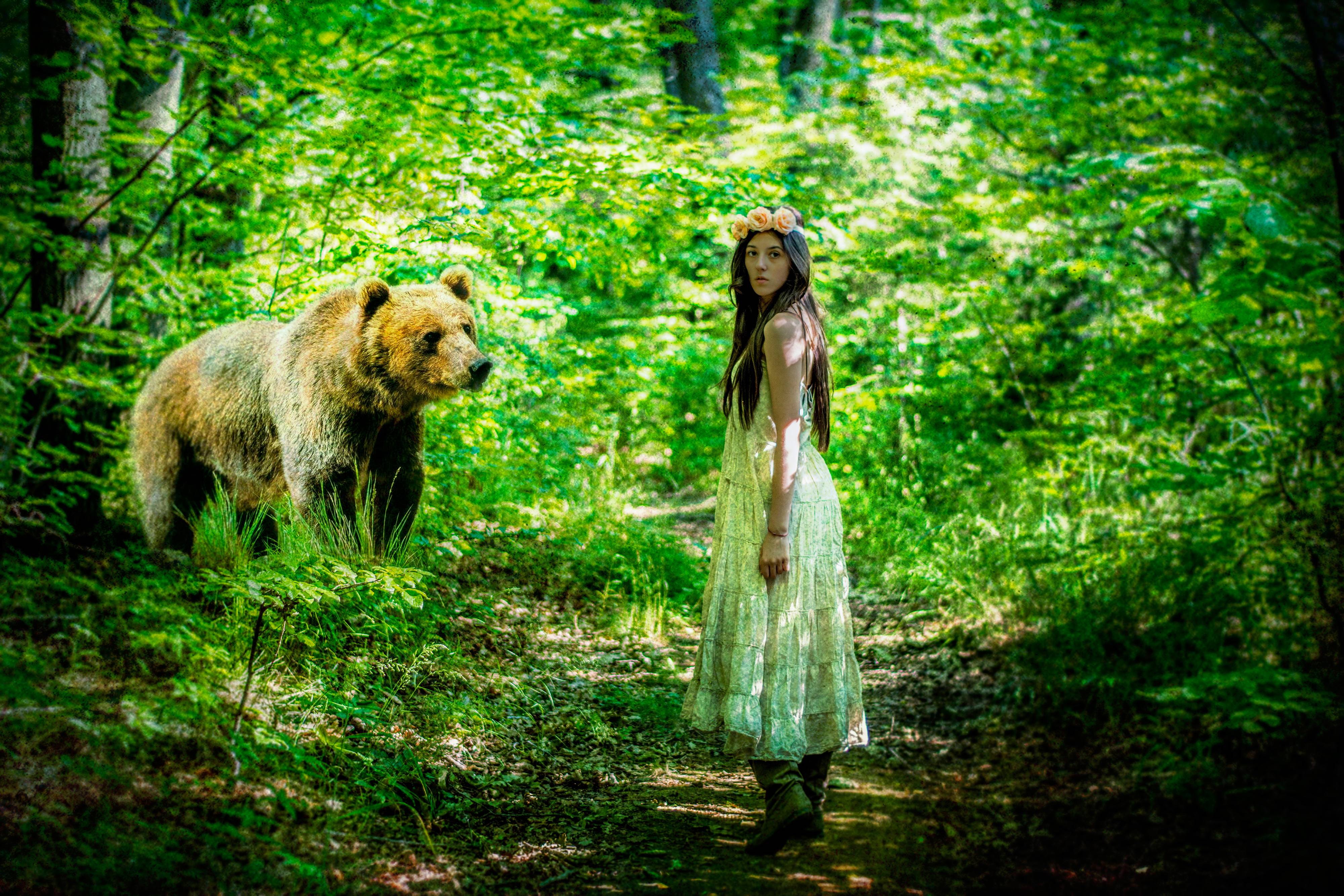 Wallpapers bear forest girl on the desktop