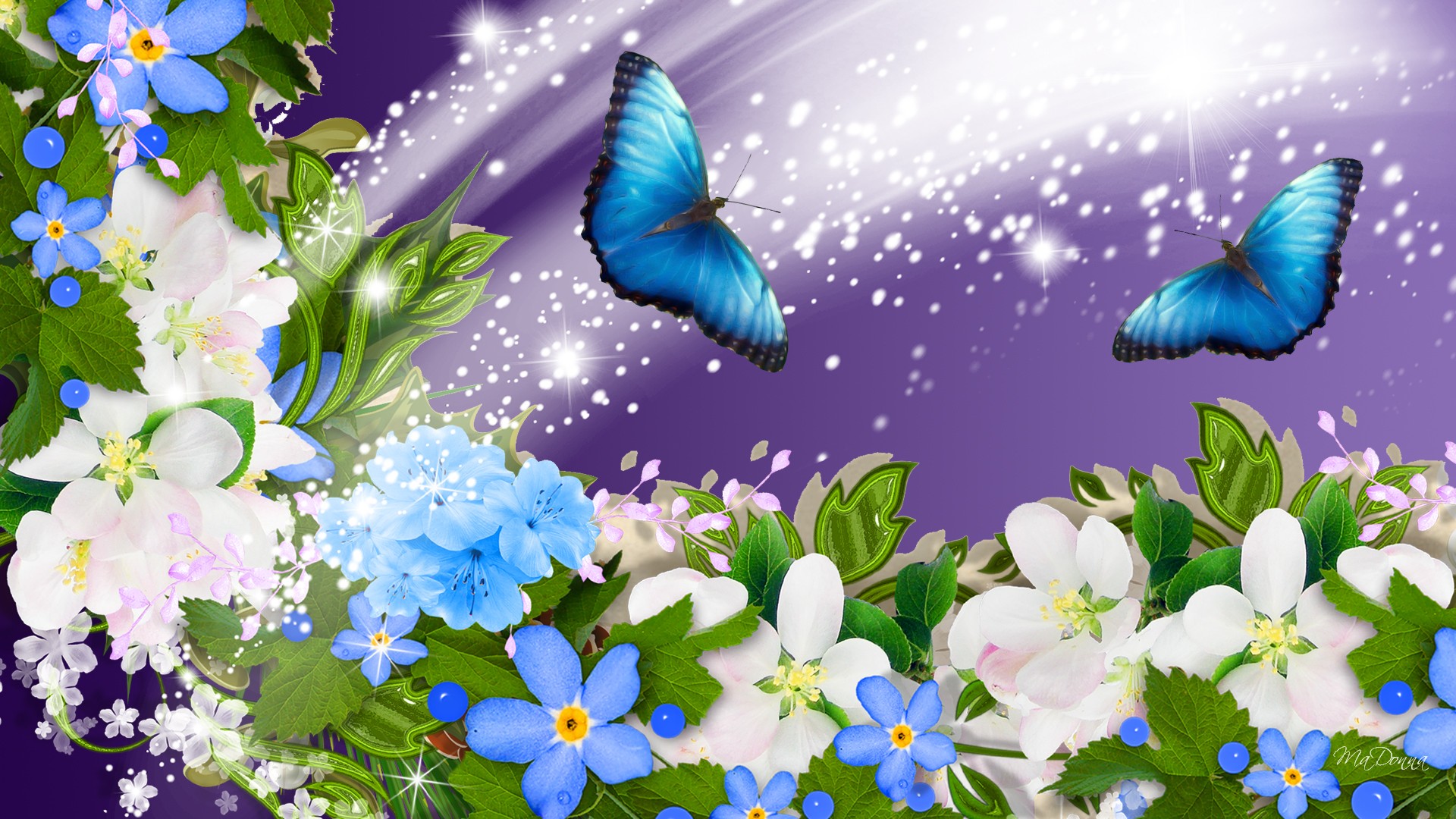 Wallpapers flowers butterflies art on the desktop