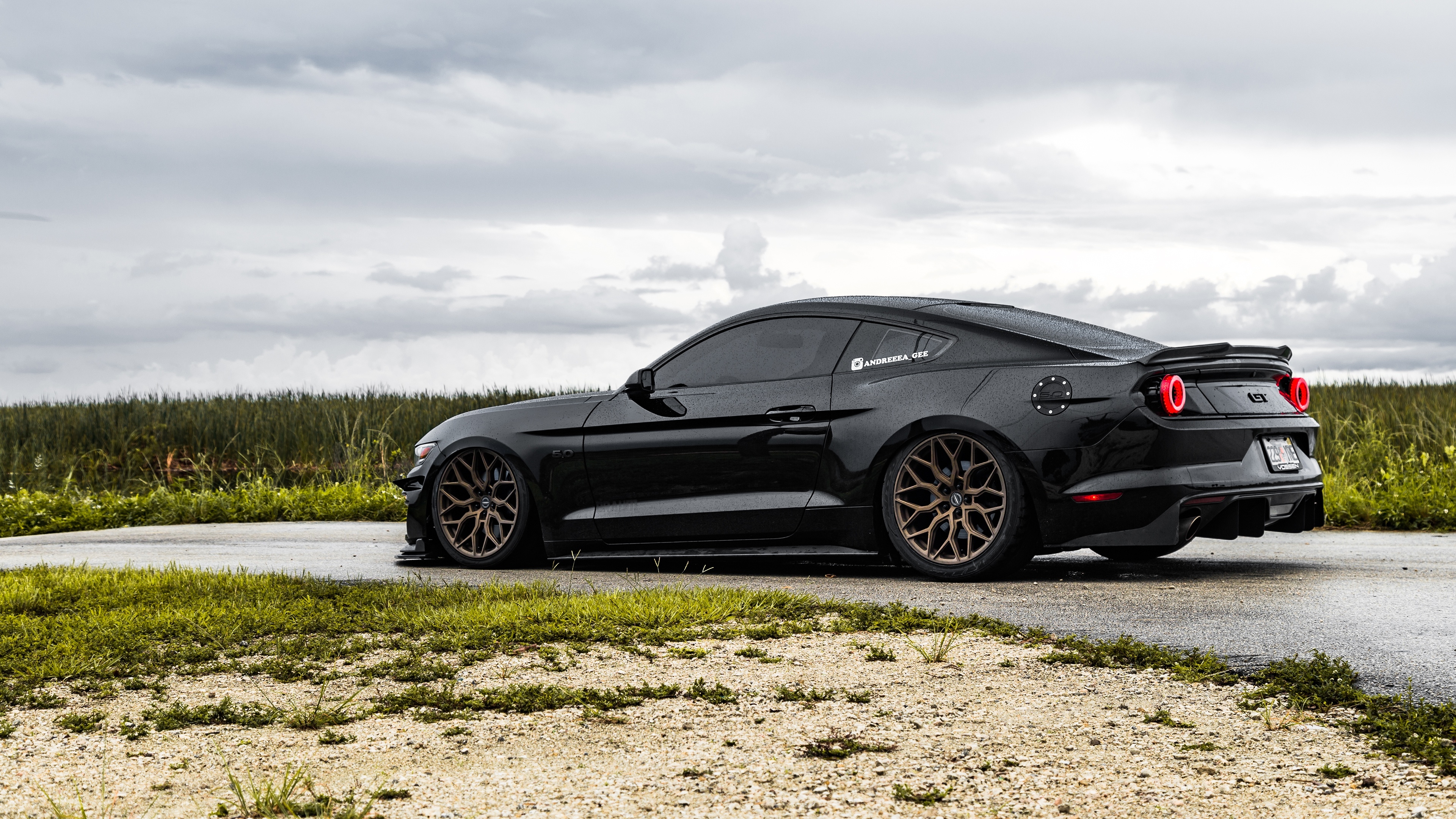 Free photo Black tinted Mustang rear view in rainy weather