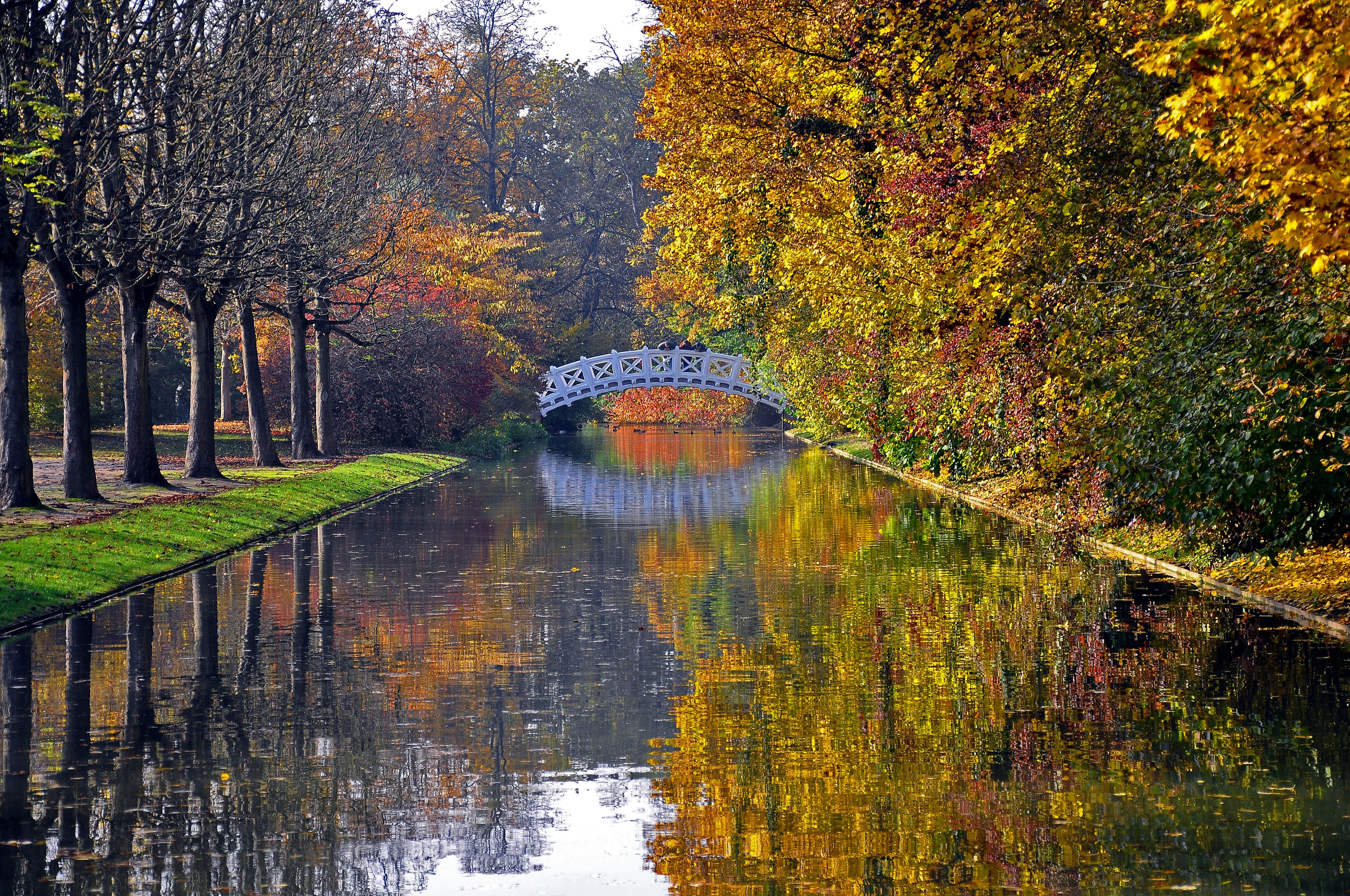 Free photo The river along an autumnal alley