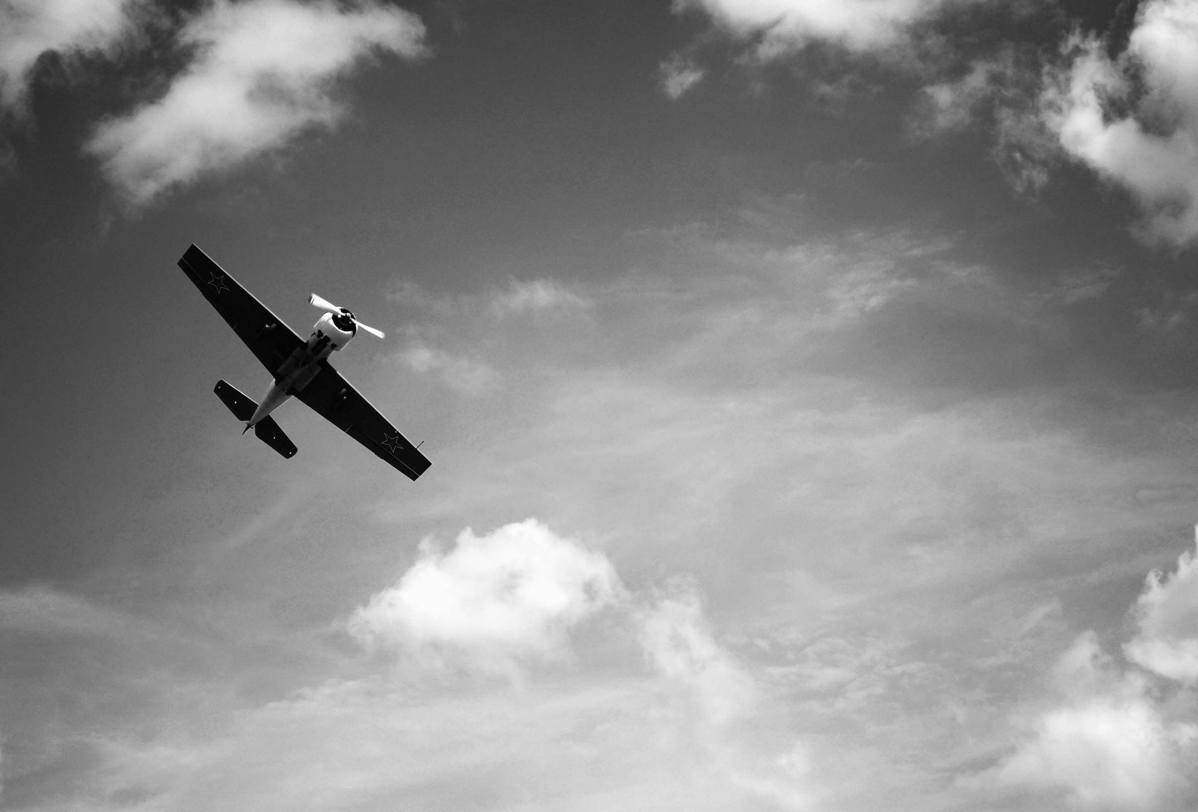 单色图像中天空中一架孤独的飞机