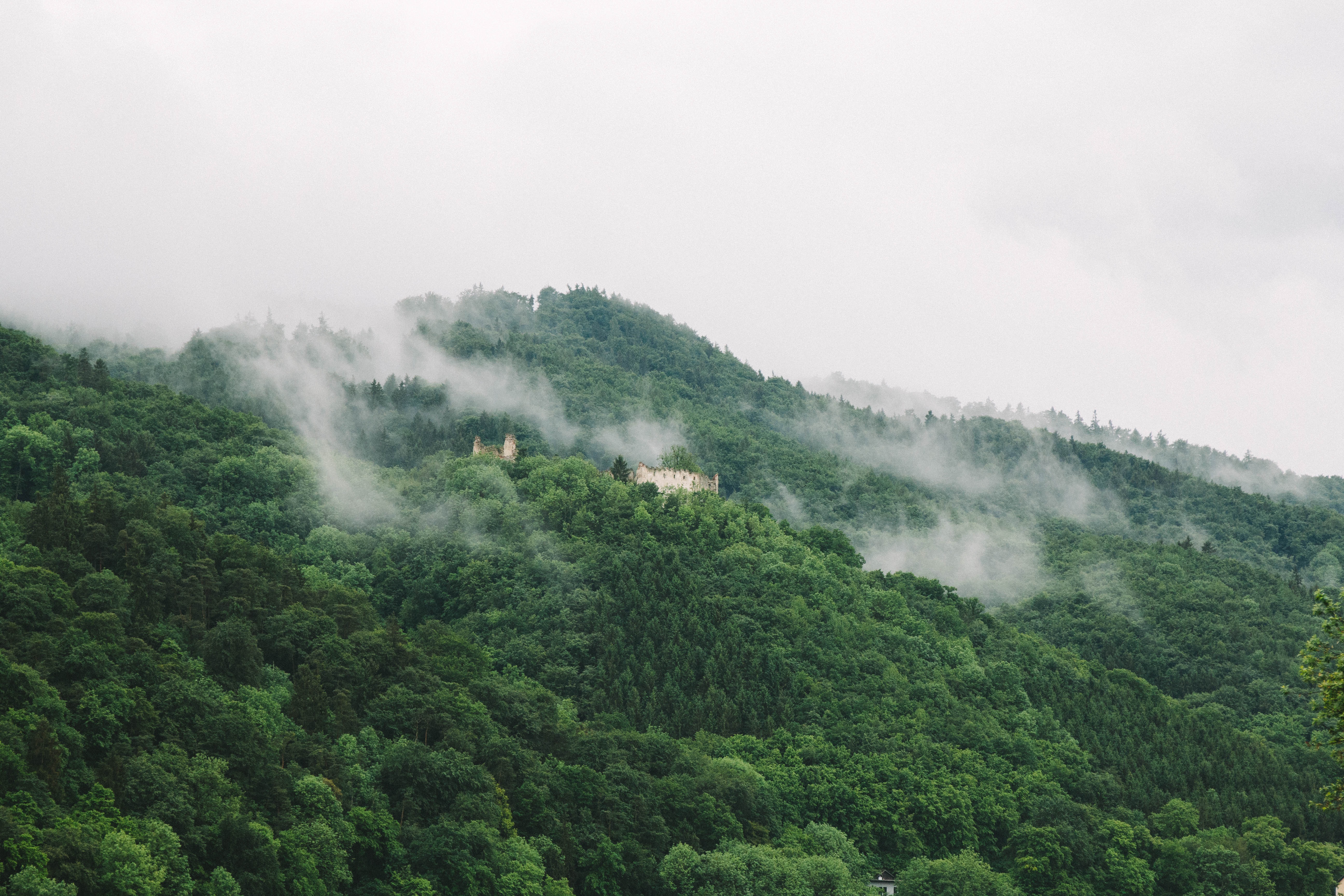 Free photo Remains of a palace on a hill in a dense forest