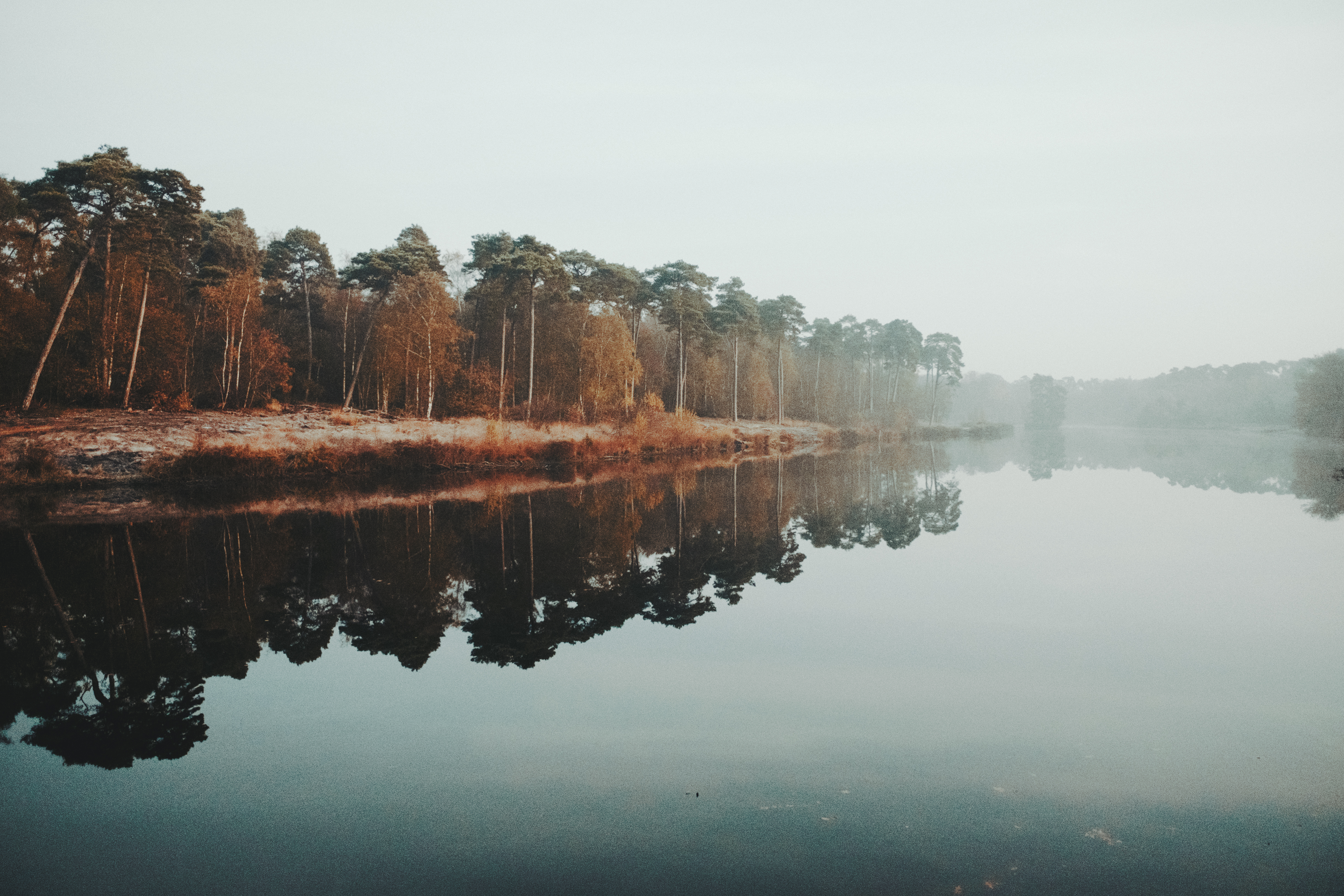 Free photo Fog over the river