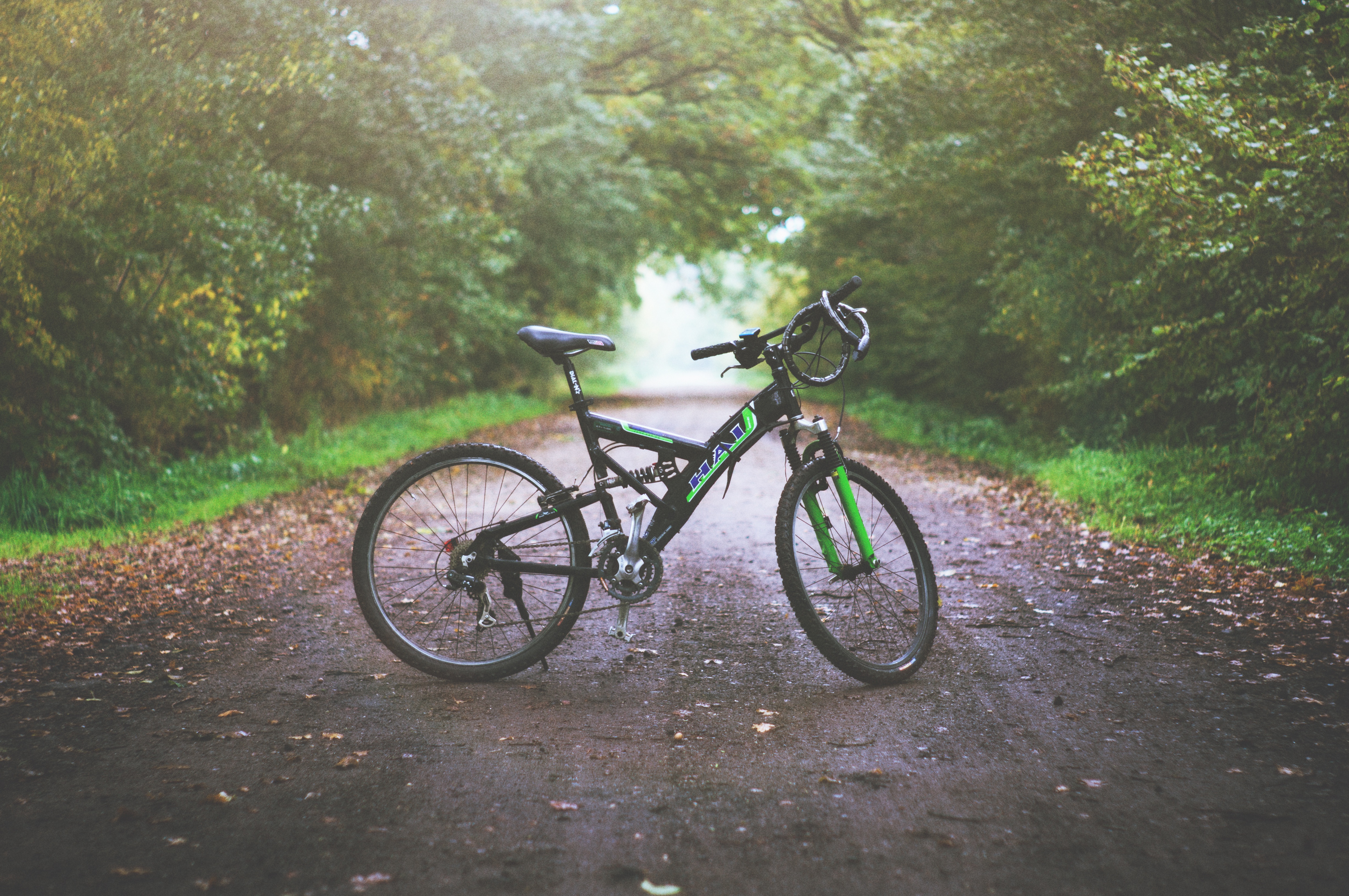 Wallpapers trail bicycle transport on the desktop