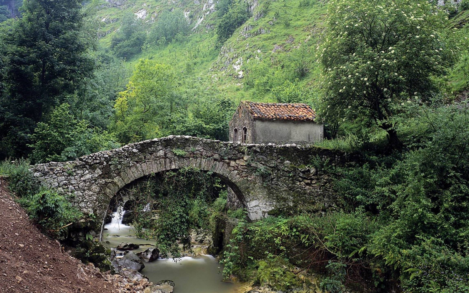 Wallpapers shrub bridge building on the desktop