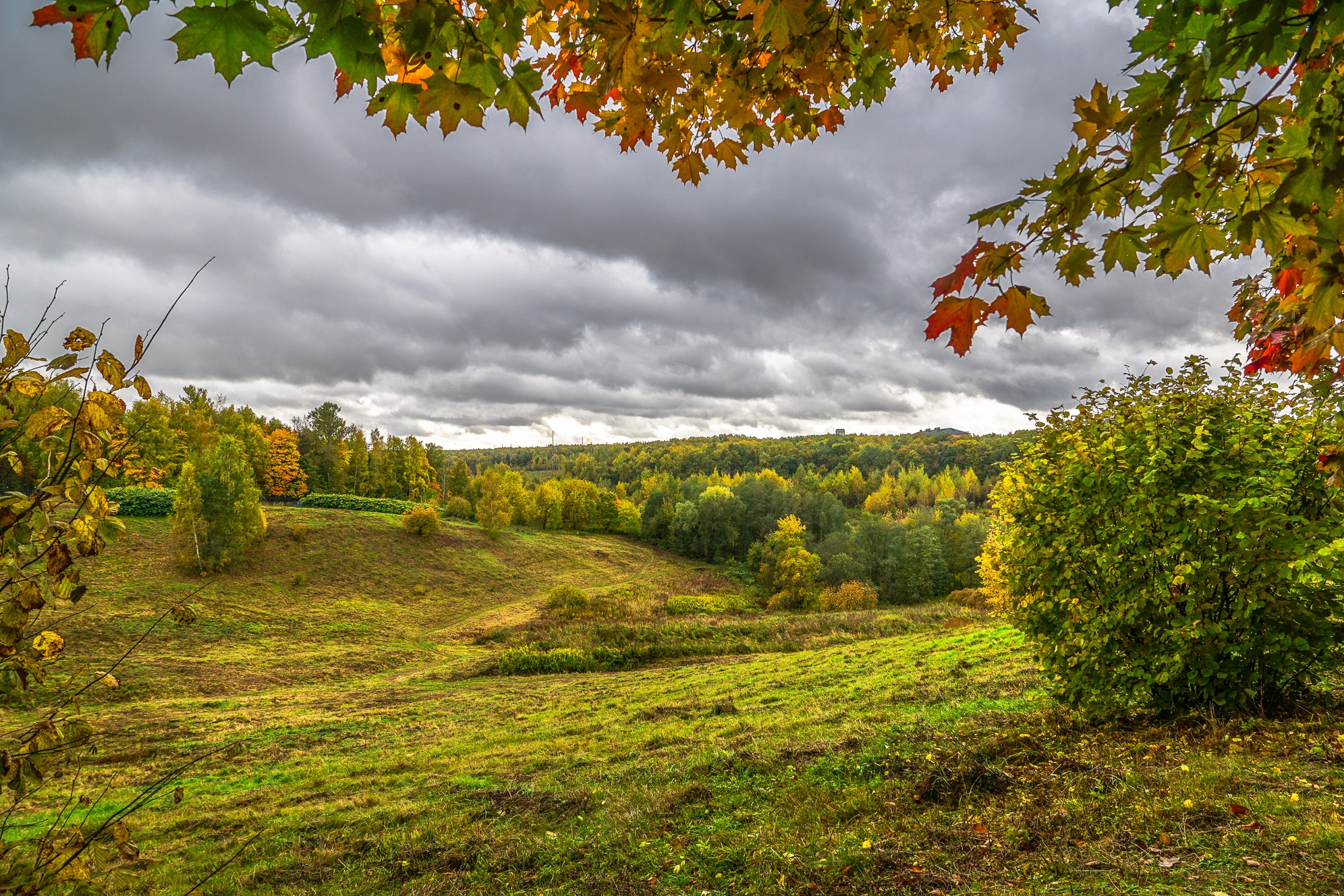 Wallpapers Park Moscow autumn in Moscow on the desktop