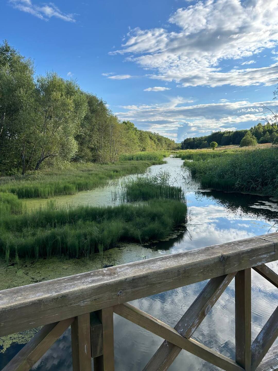 Бесплатное фото Извилистая река