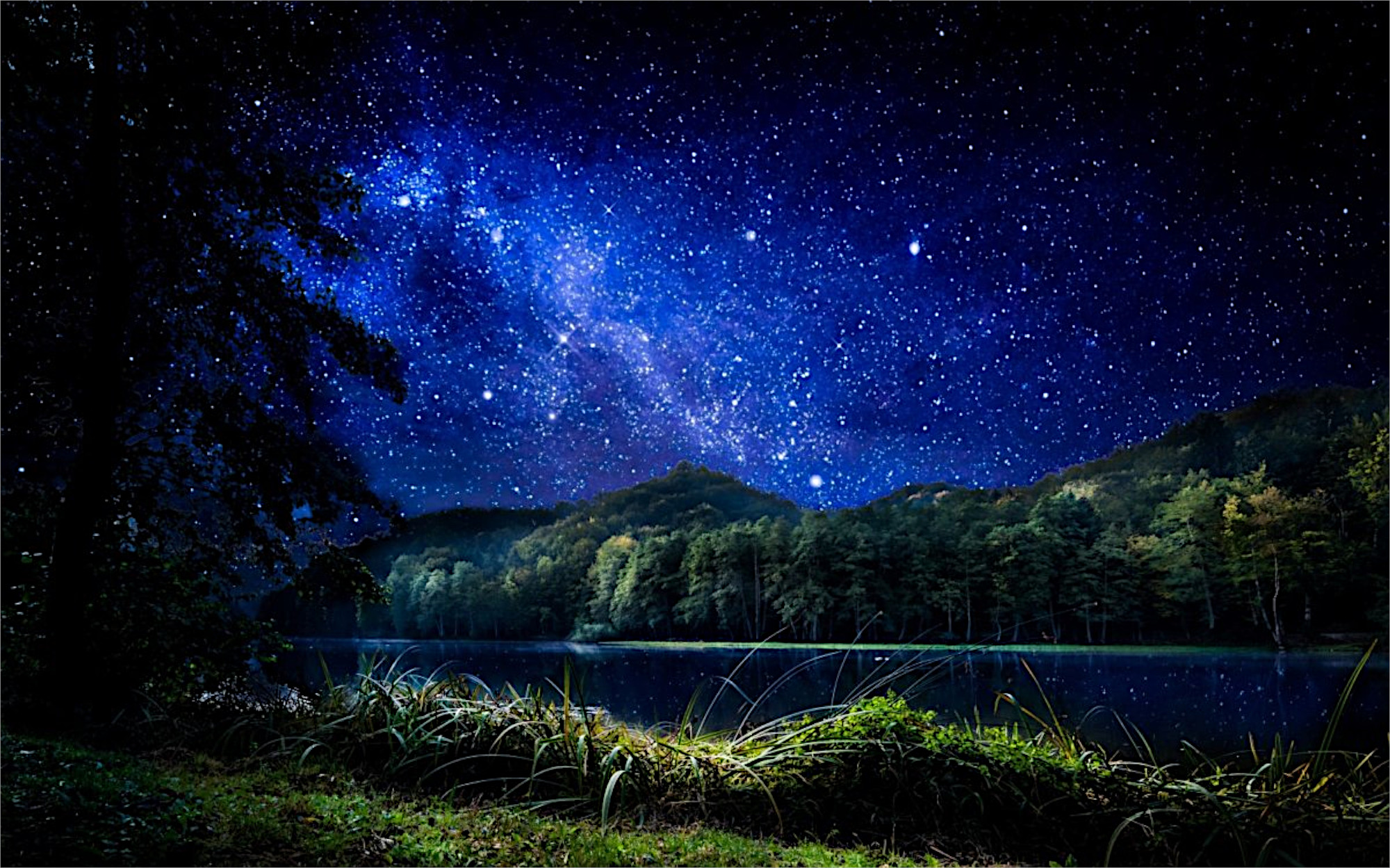 免费照片森林河流上的星空