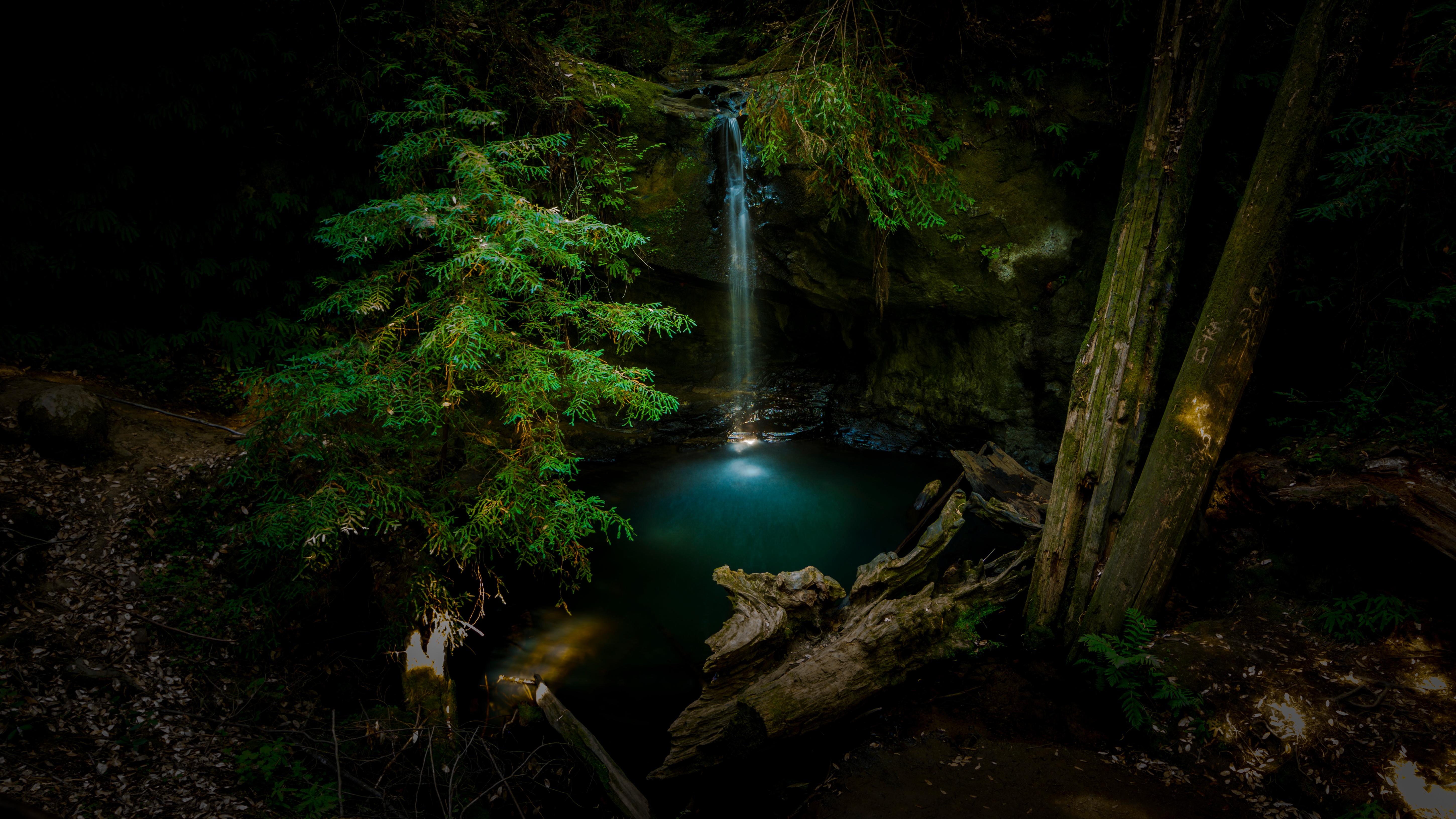 Бесплатное фото Тонкий водопад среди леса