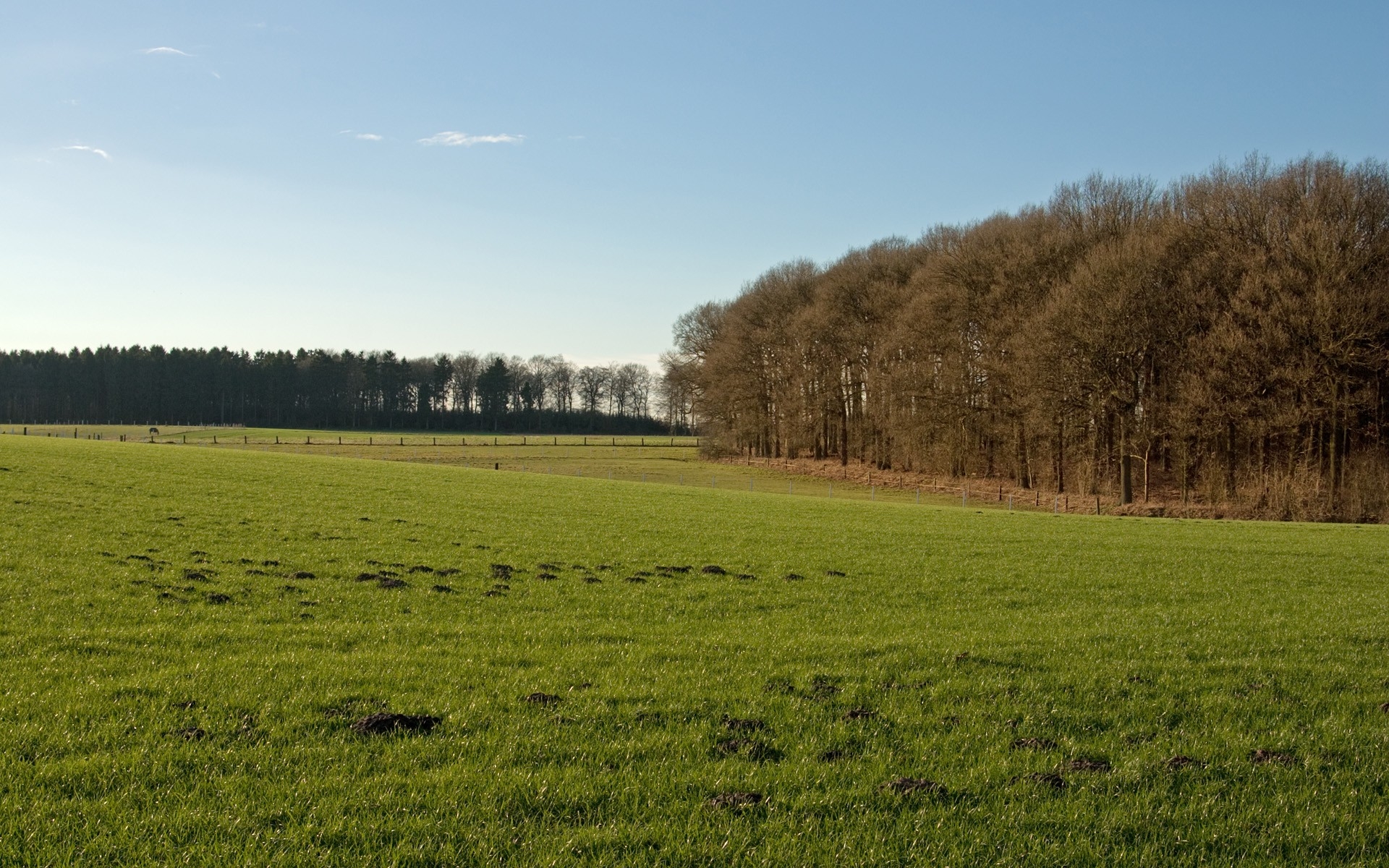 桌面上的壁纸树木 景观 山丘