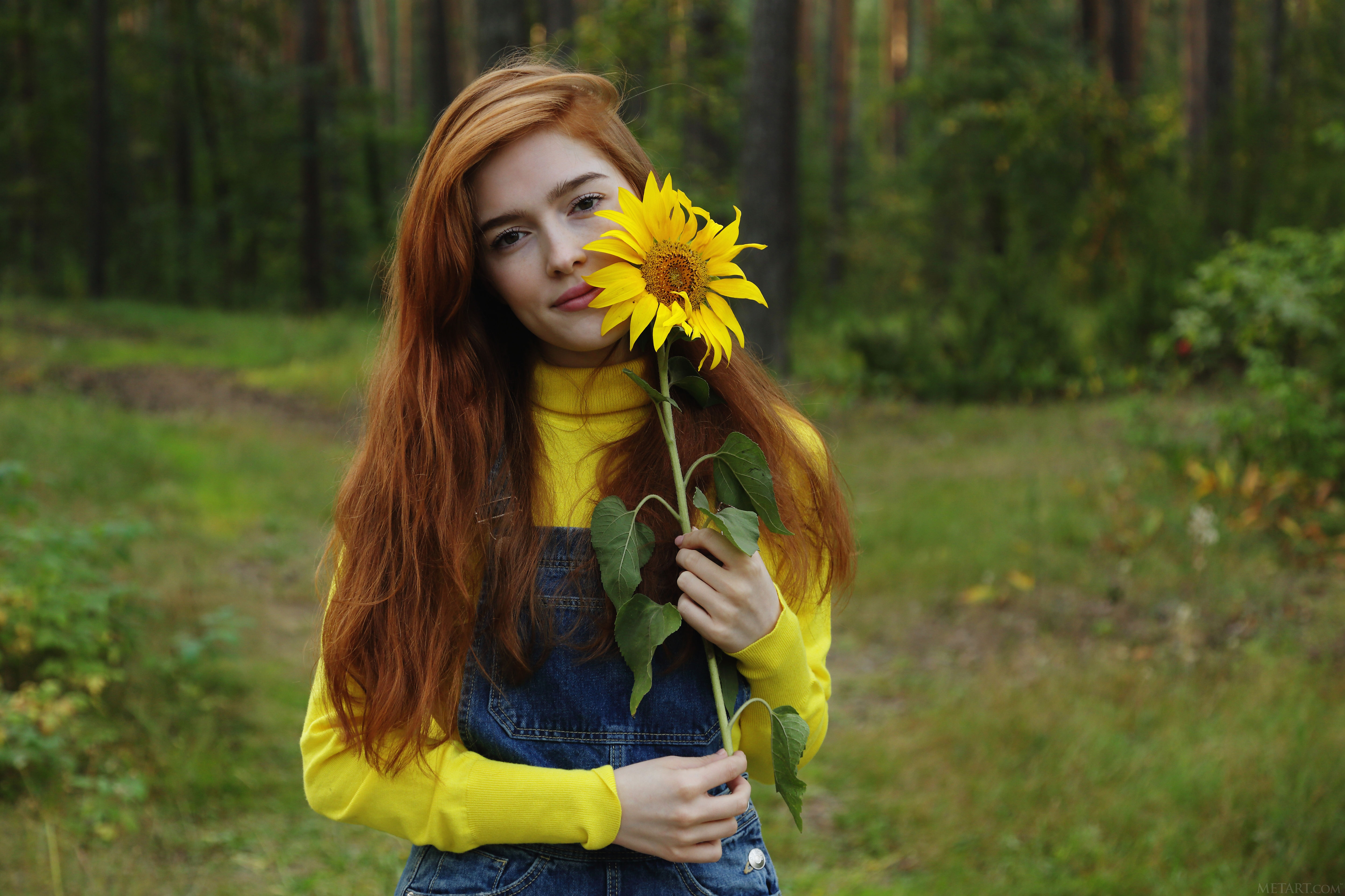 森林中的红发女孩与向日葵