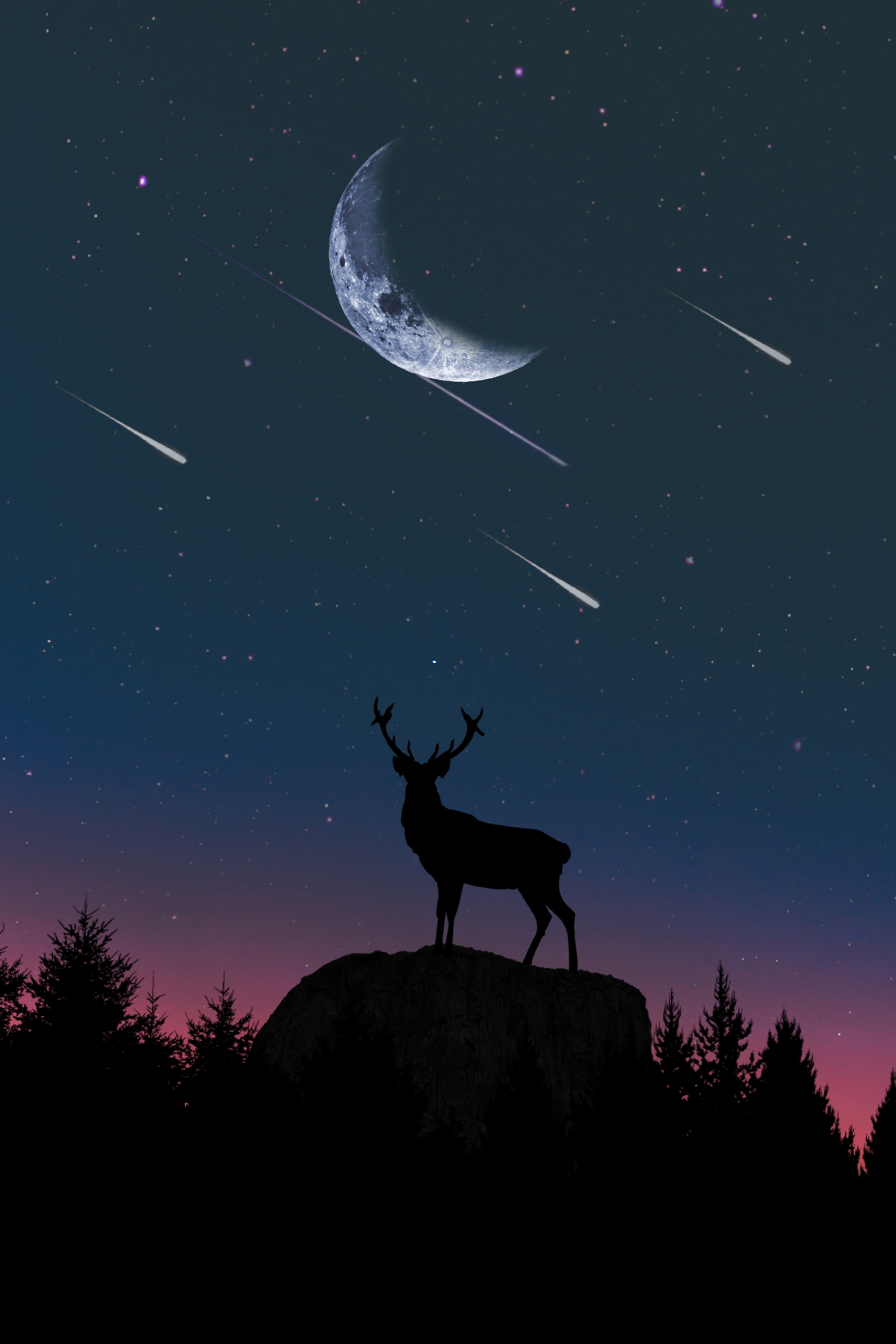 流星夜空下的鹿影