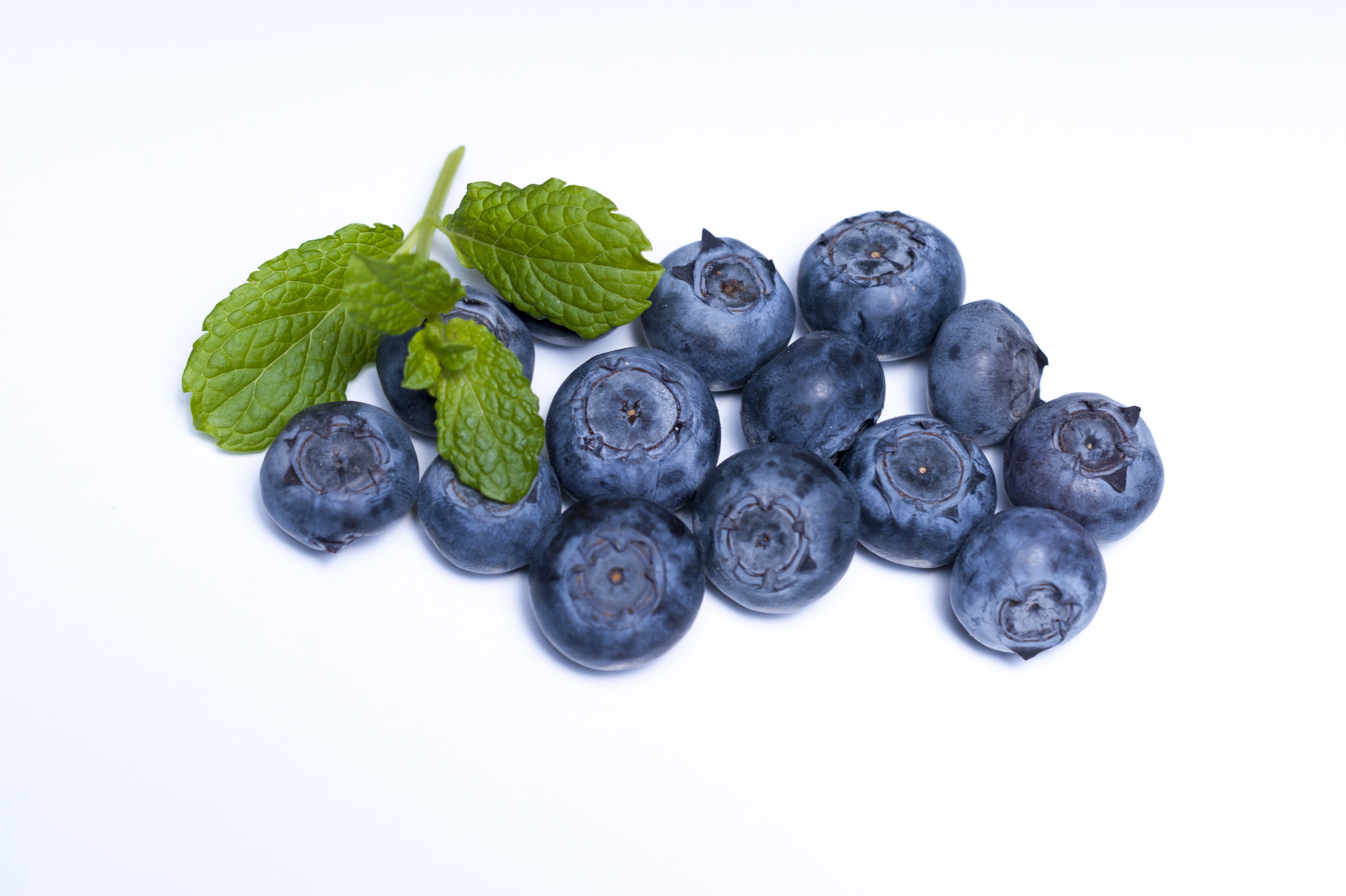 Free photo Blueberries and mint