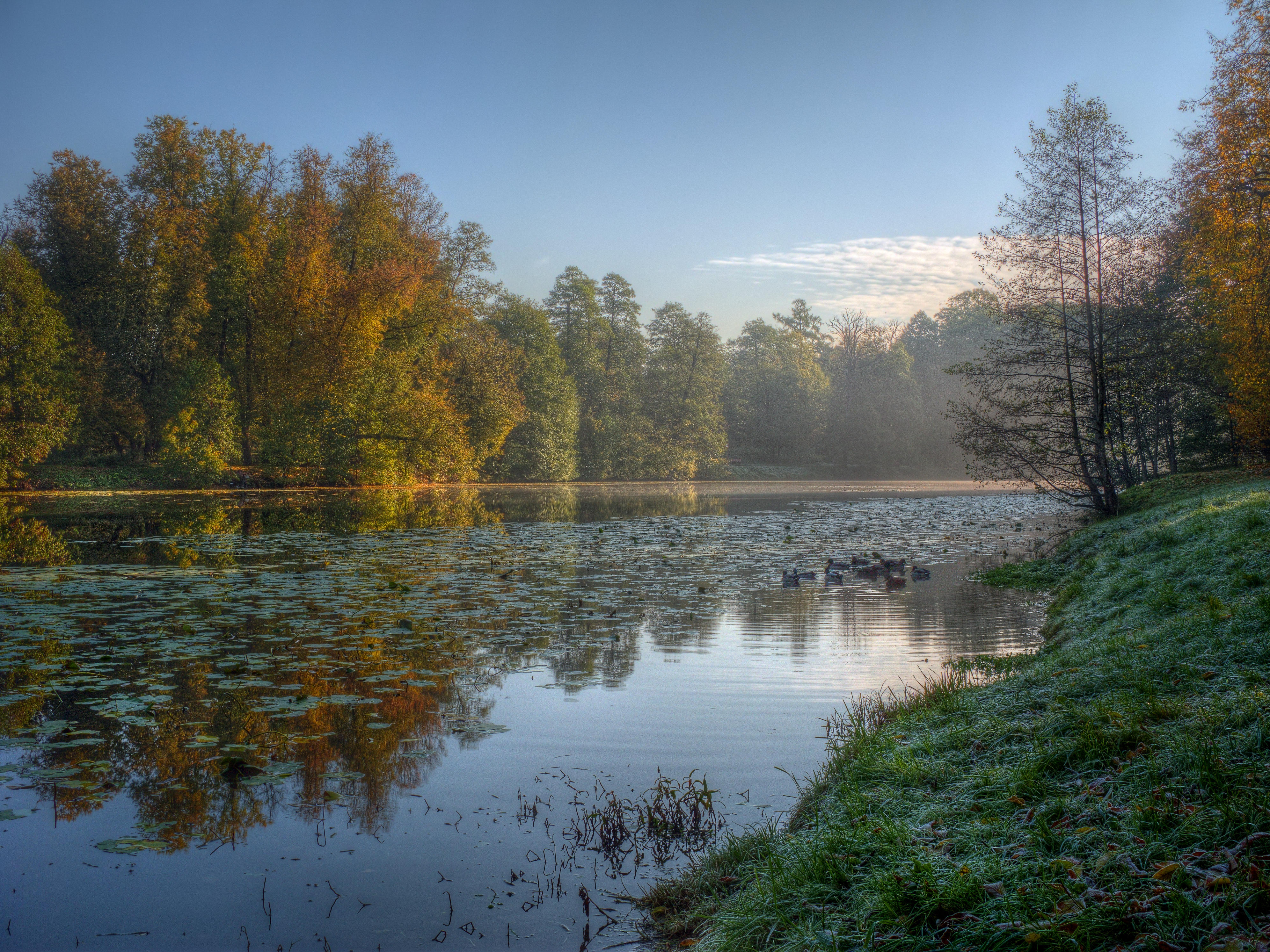 Wallpapers Kuzminki Park landscape pond on the desktop