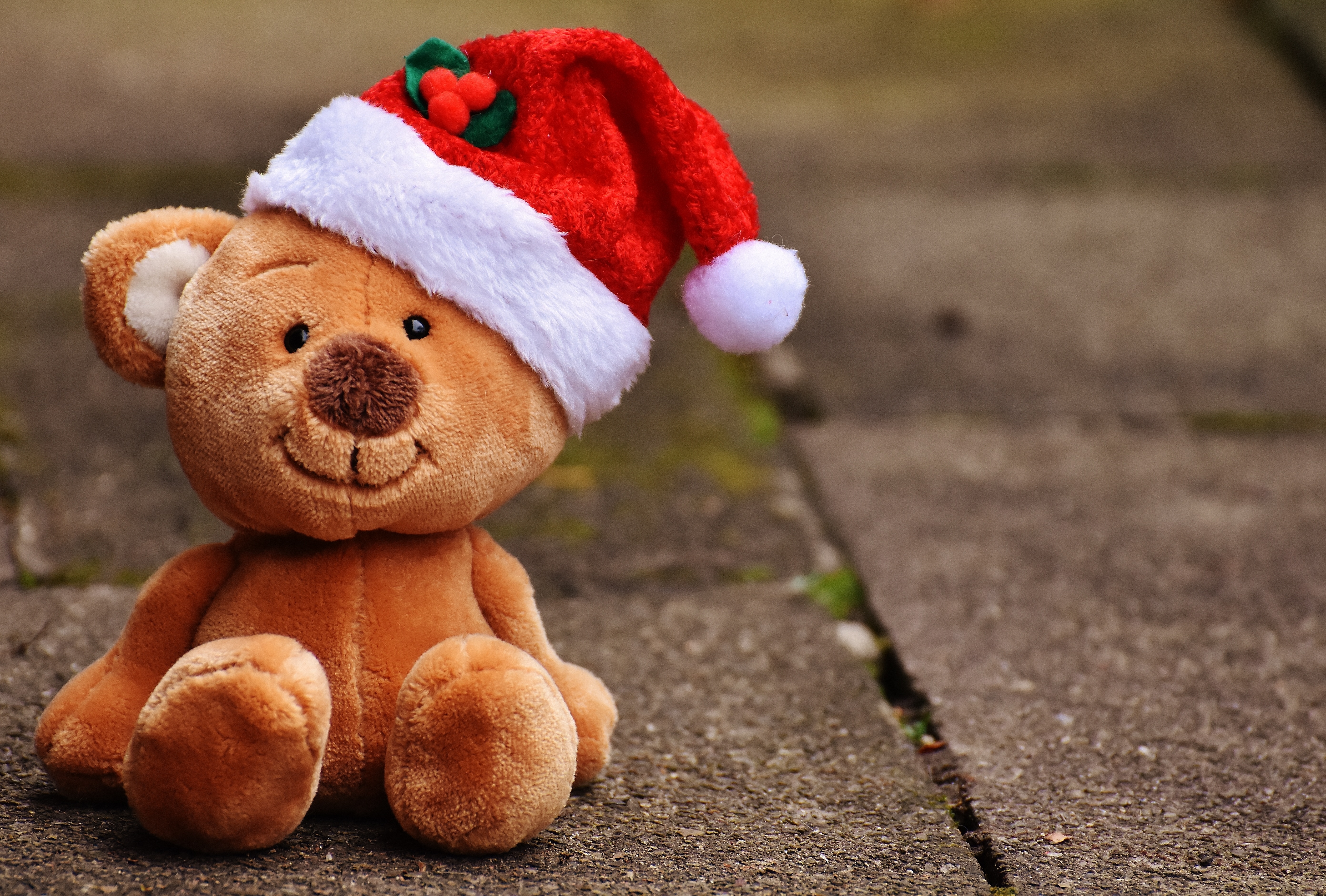 Wallpapers Christmas toy plush bear Santa hat on the desktop