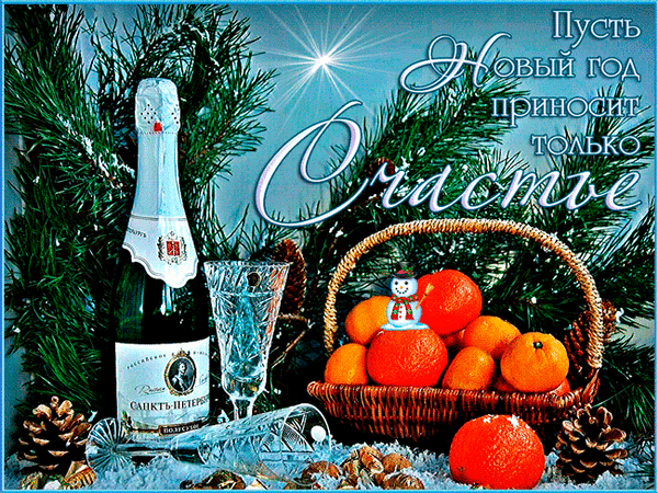 主题为新年 柑橘 香槟酒的明信片免费下载
