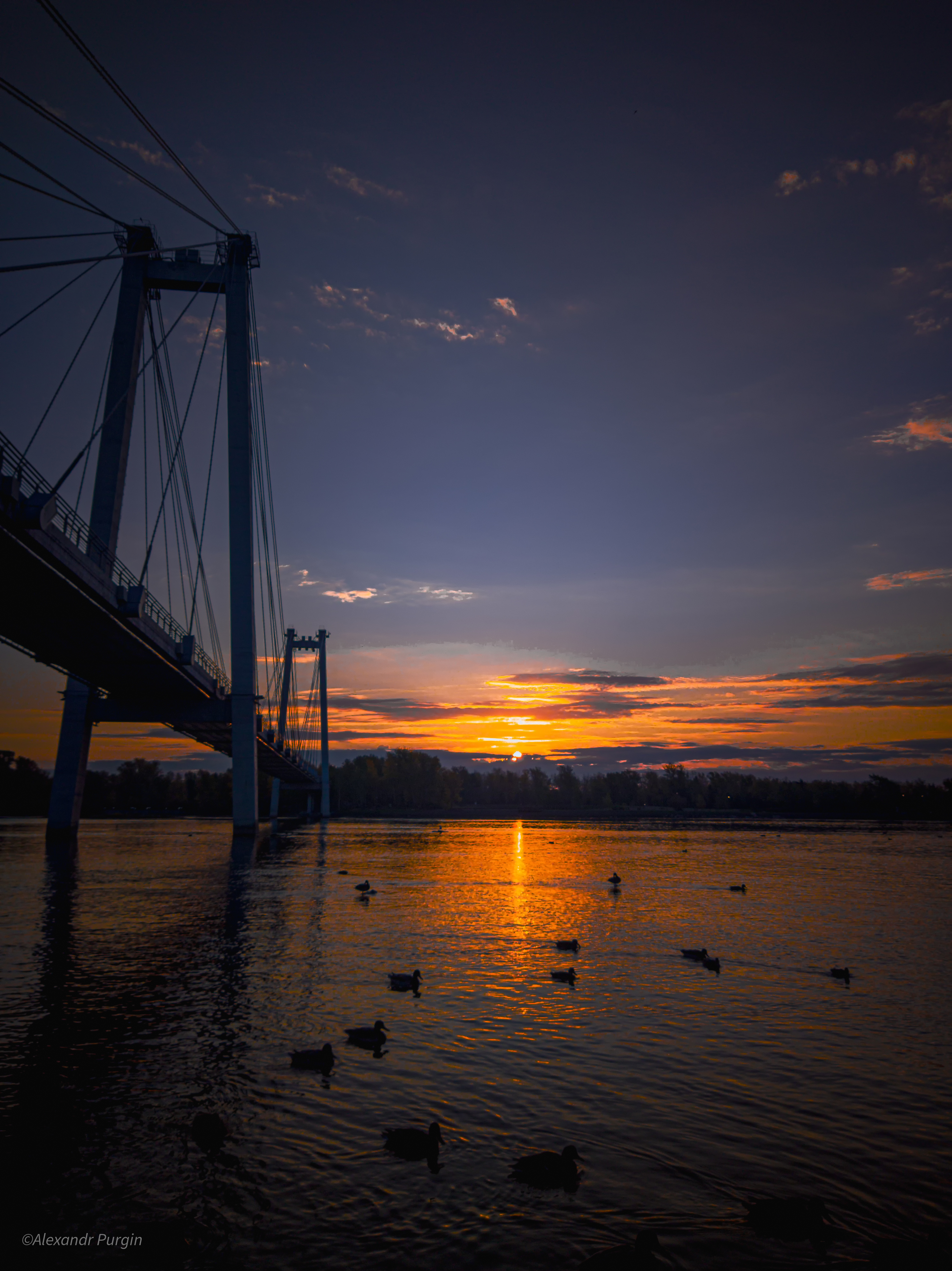 Free photo Sunrise on the river with the ducks