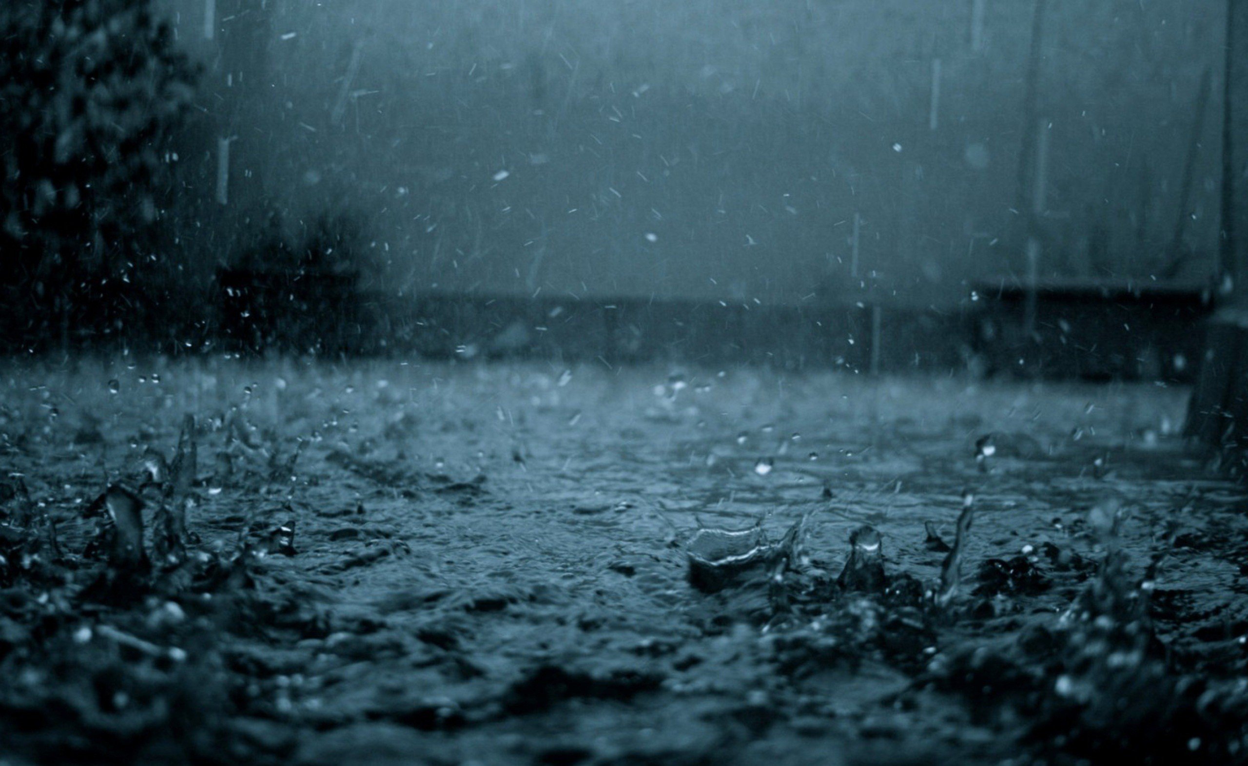 Обои дождь обои цветы на рабочий стол