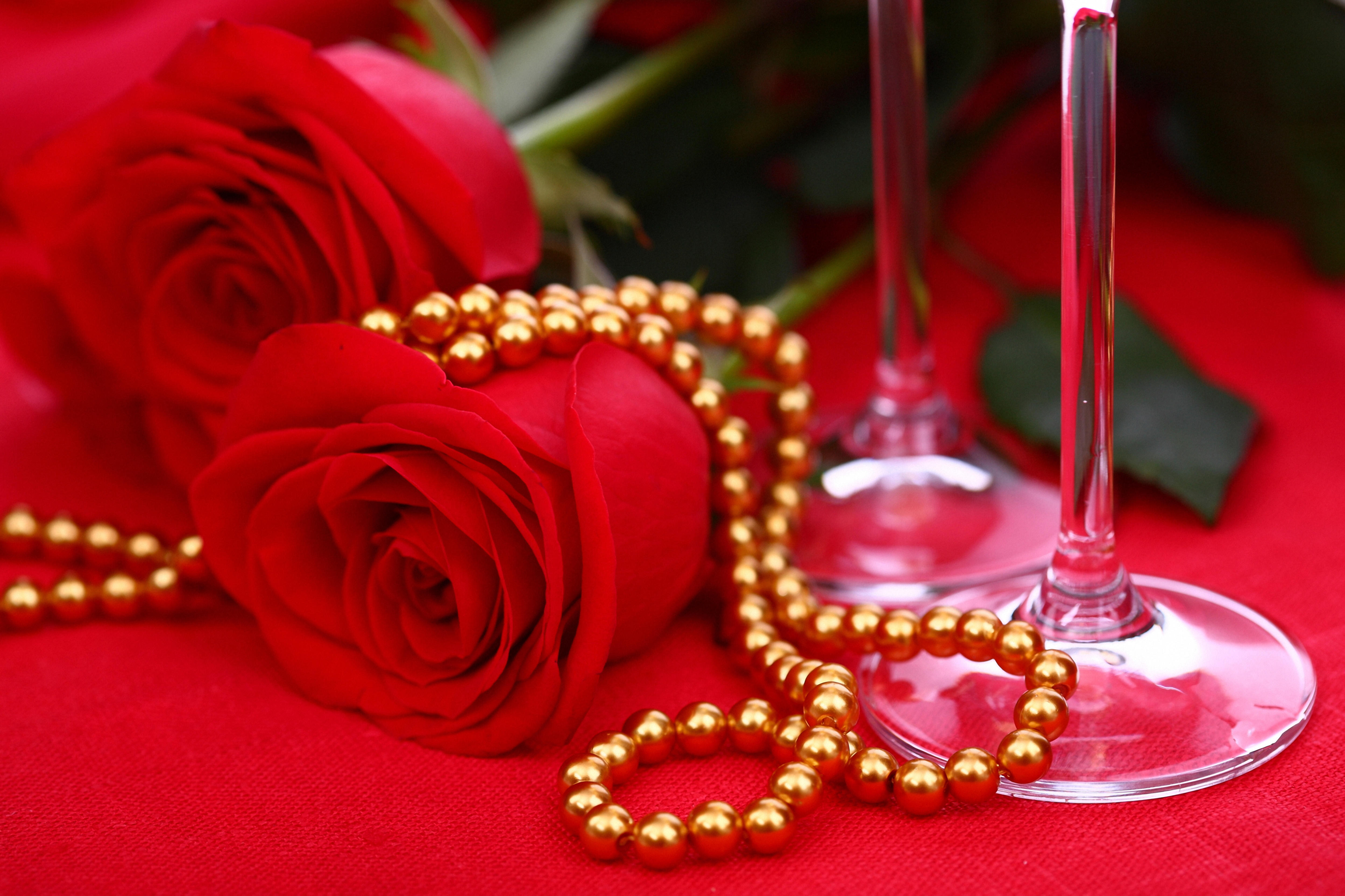 Обои красные розы бутоны цветы на рабочий стол
