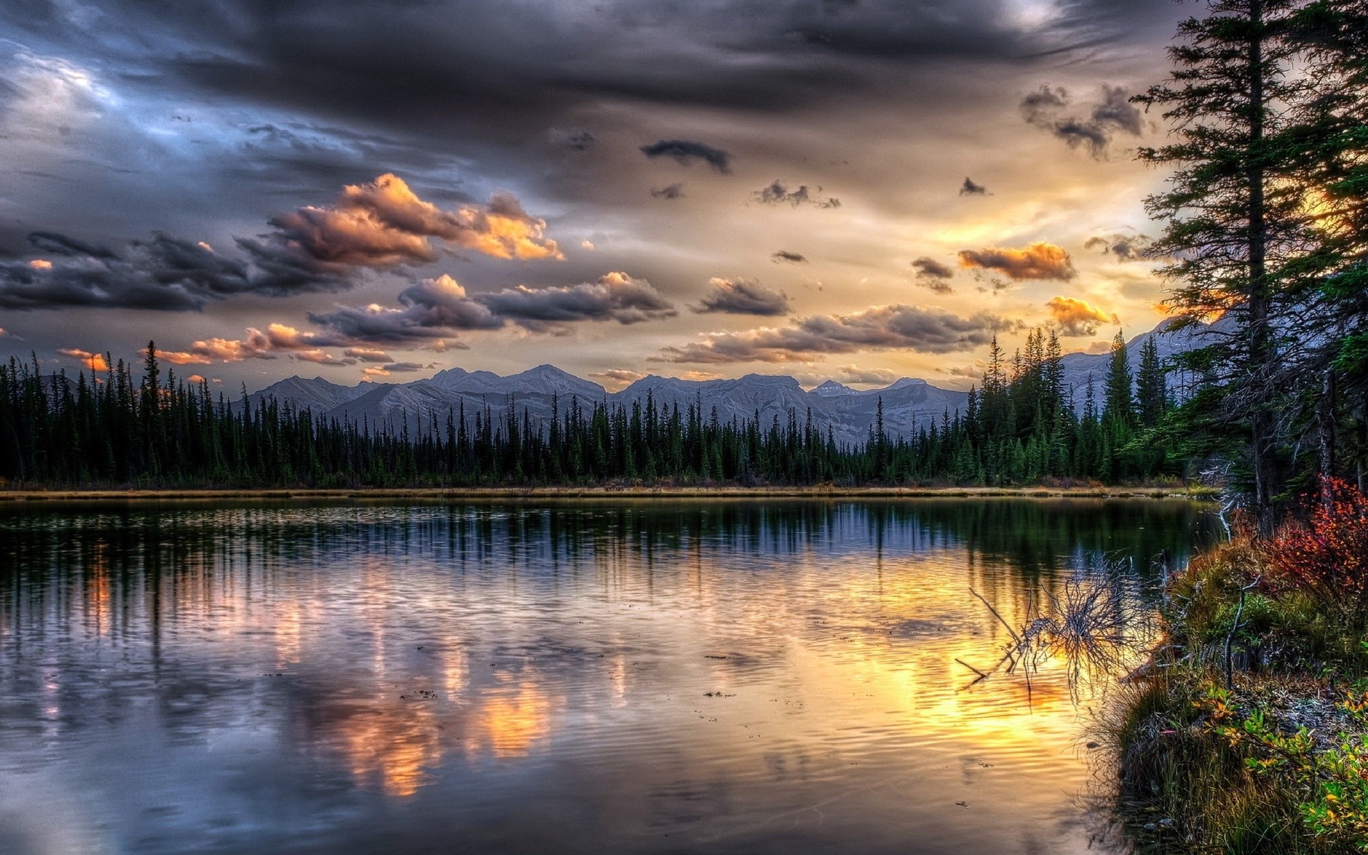 Free photo A large lake surrounded by trees