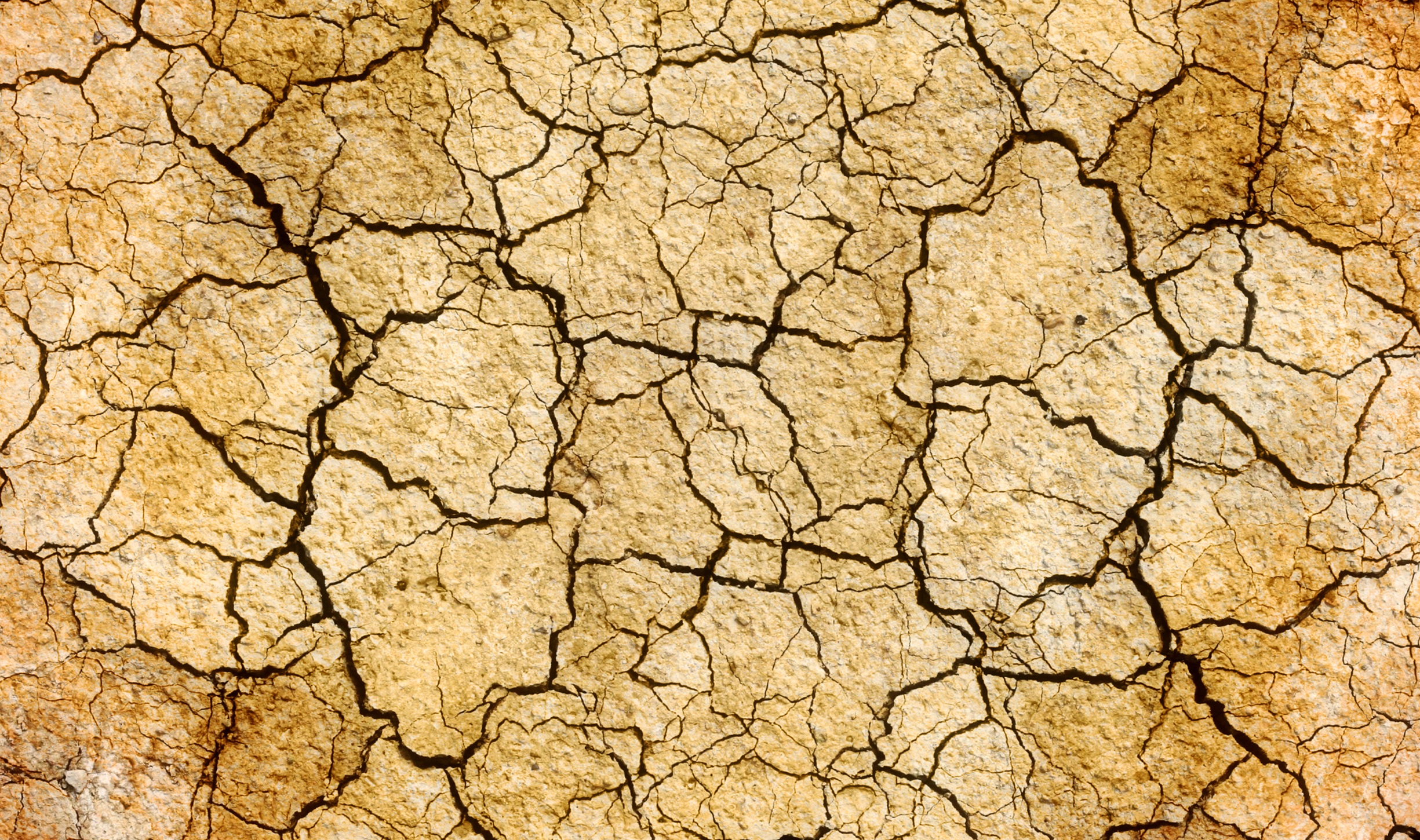 Dry cracked earth