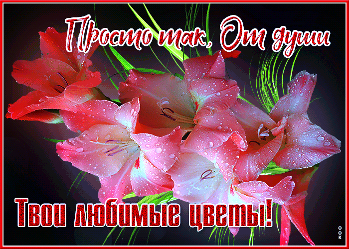 Postcard on the theme from the heart of your favorite flowers drops of water drops of rain download for free