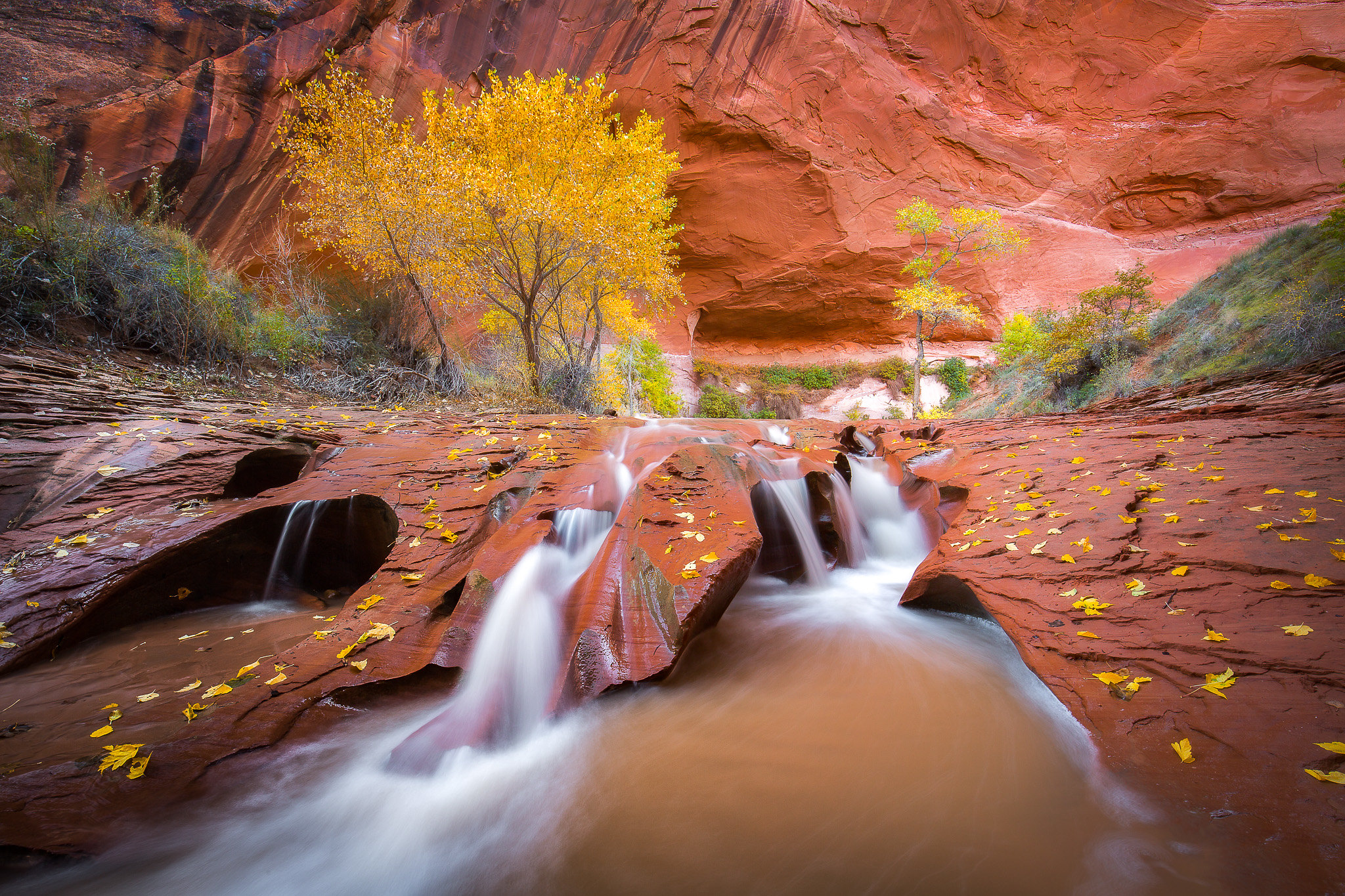 Обои Swiss Cheese Falls Coyote Gulch Utah на рабочий стол