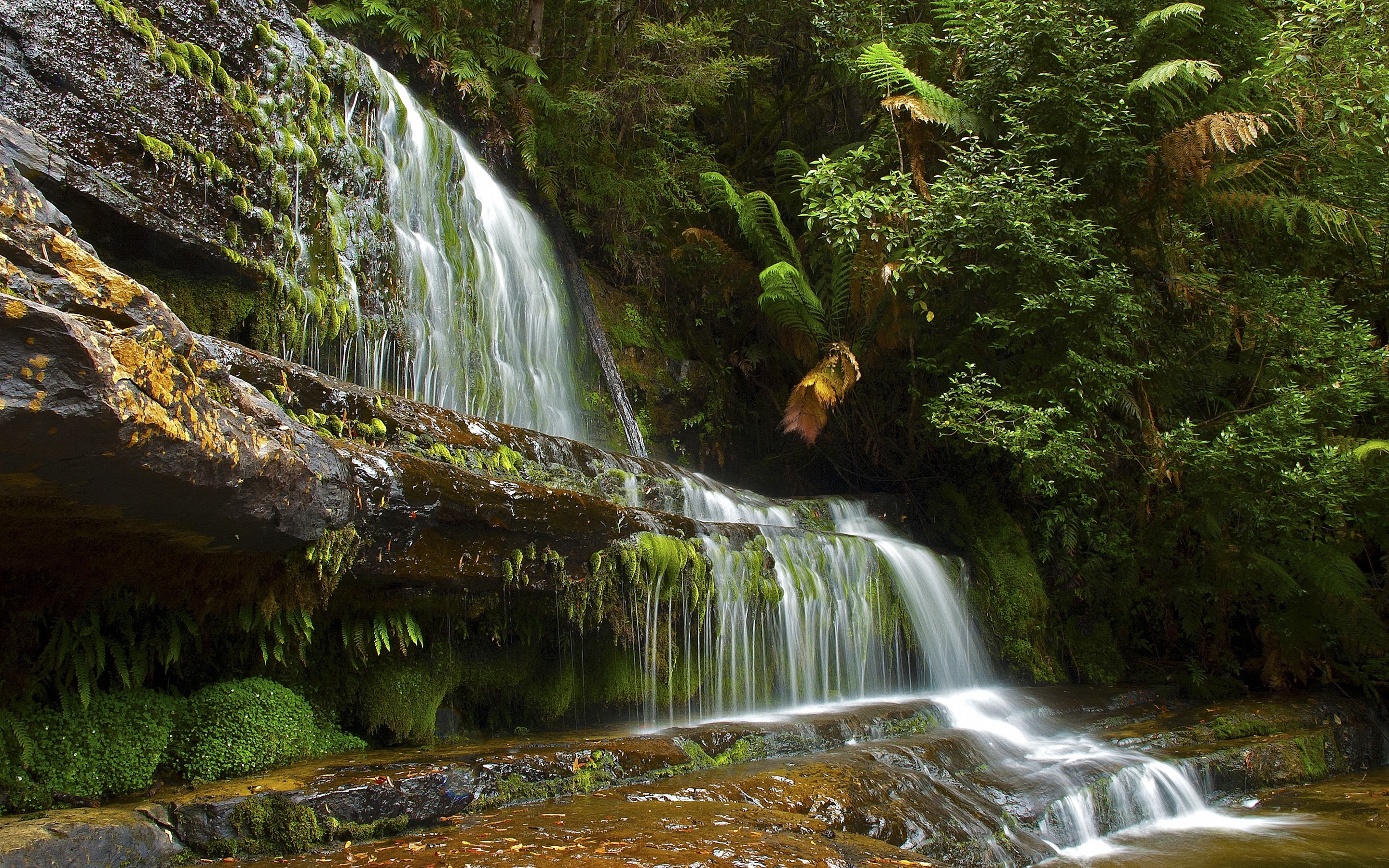 Free photo A wide waterfall in the forest