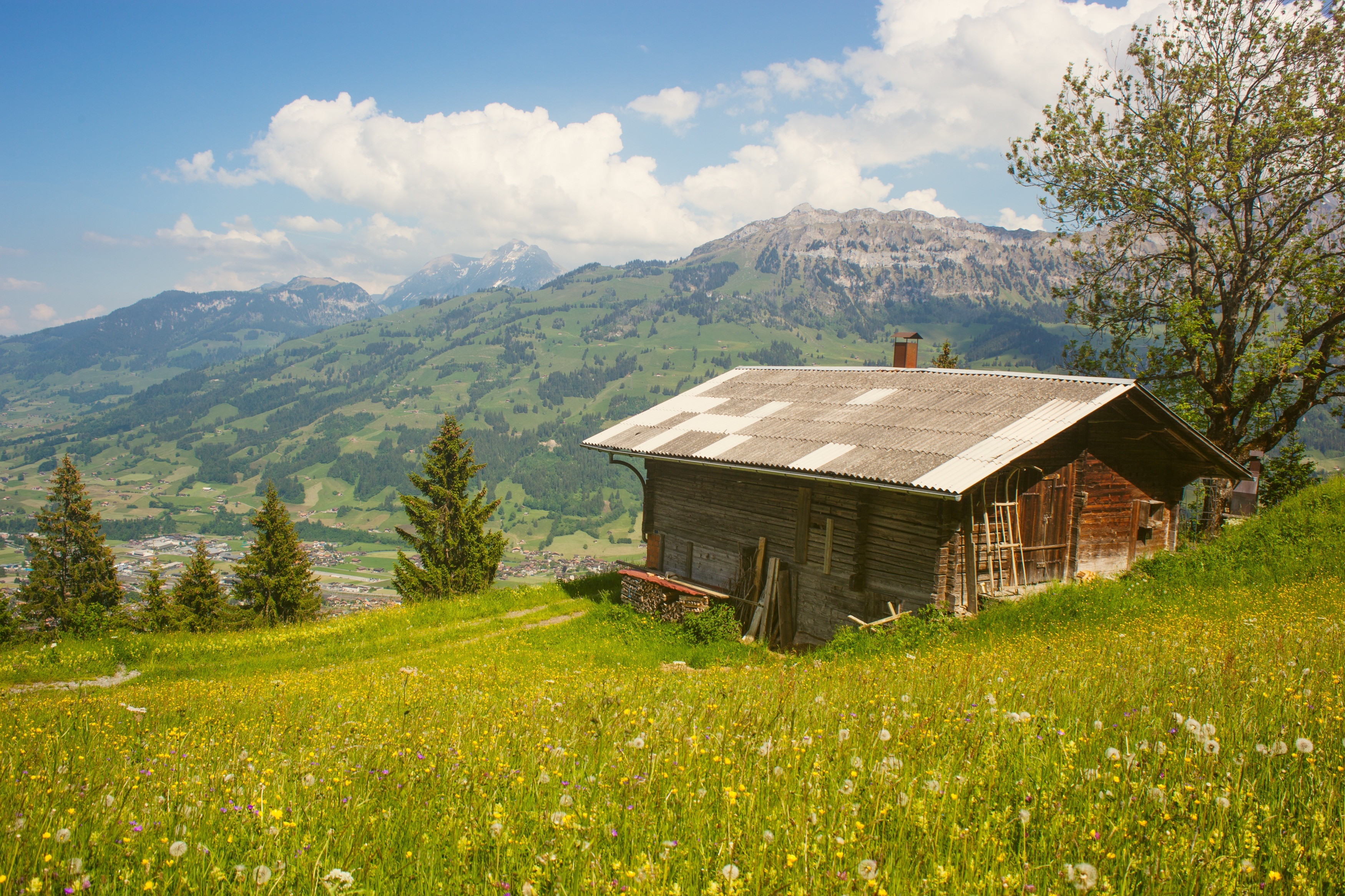 Free photo An abandoned cabin in a field with mountains in the background