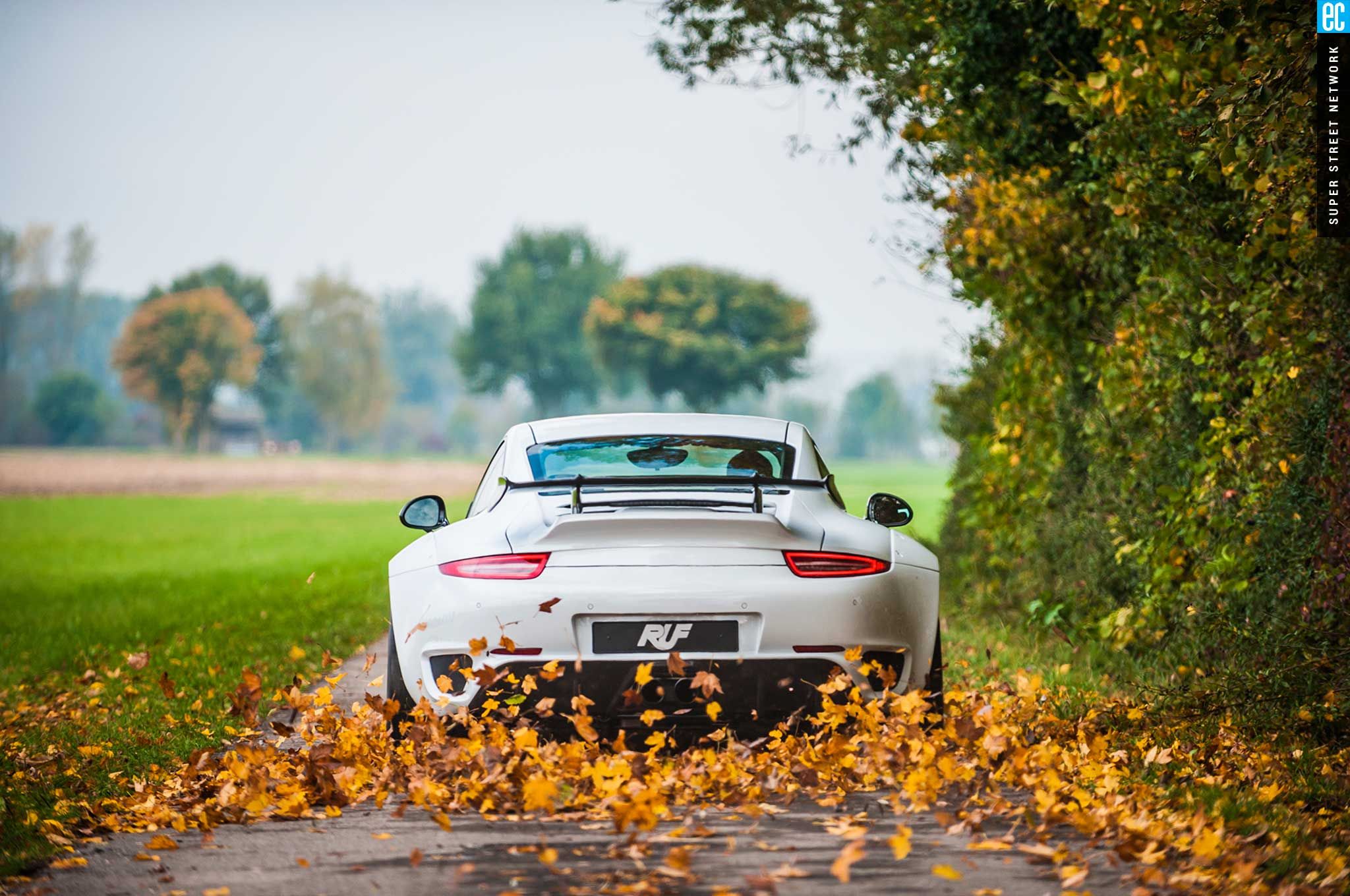 Wallpapers autumn Porsche 911 white on the desktop