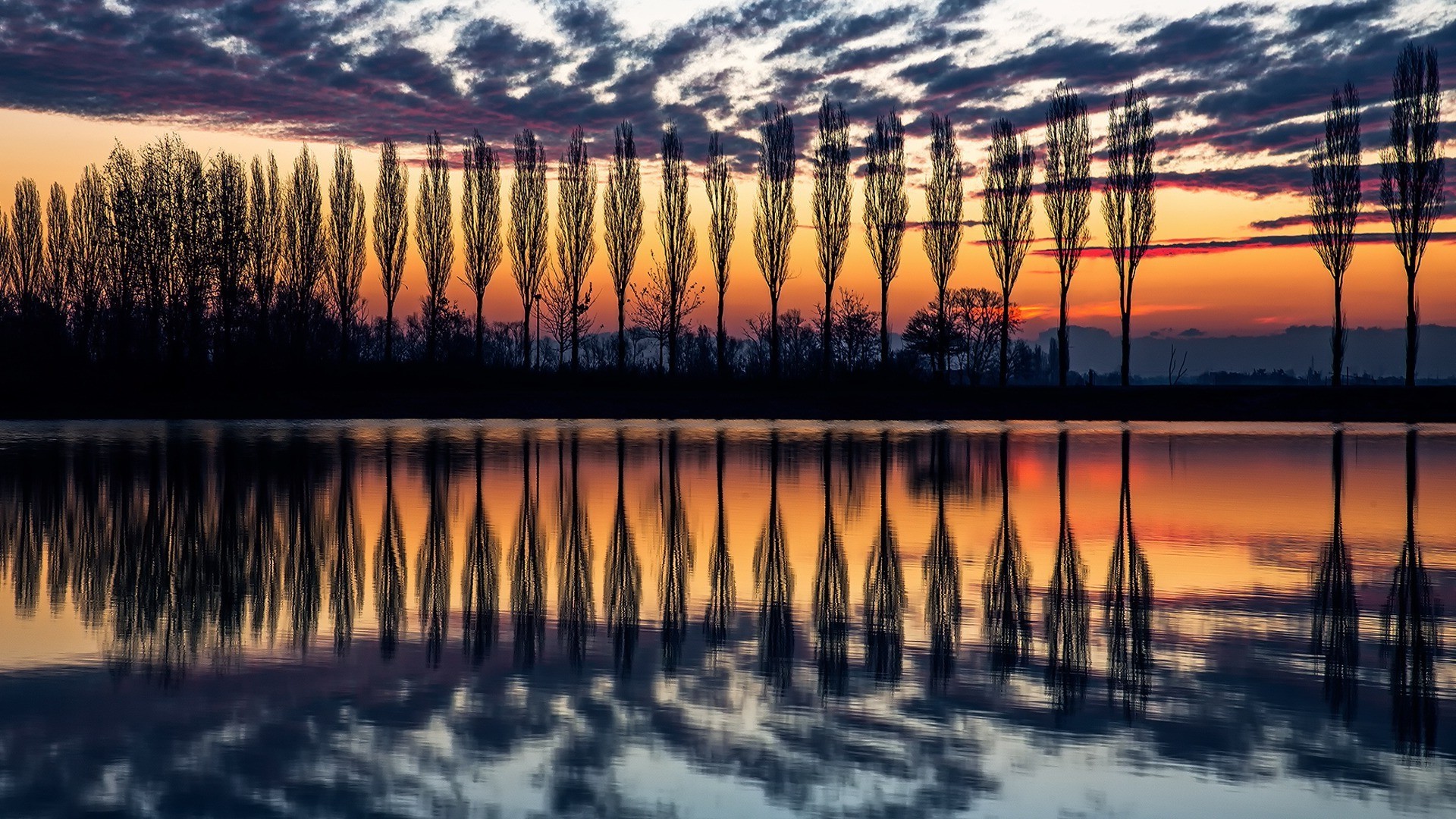 Бесплатное фото Ряд силуэтов